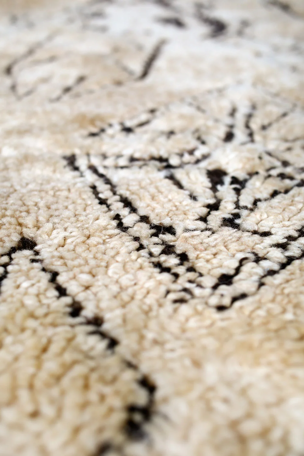 Rug108_4.jpg