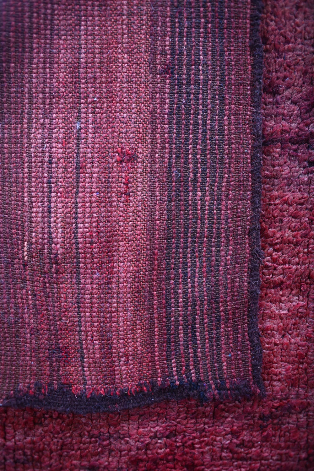 Rug244_5.jpg