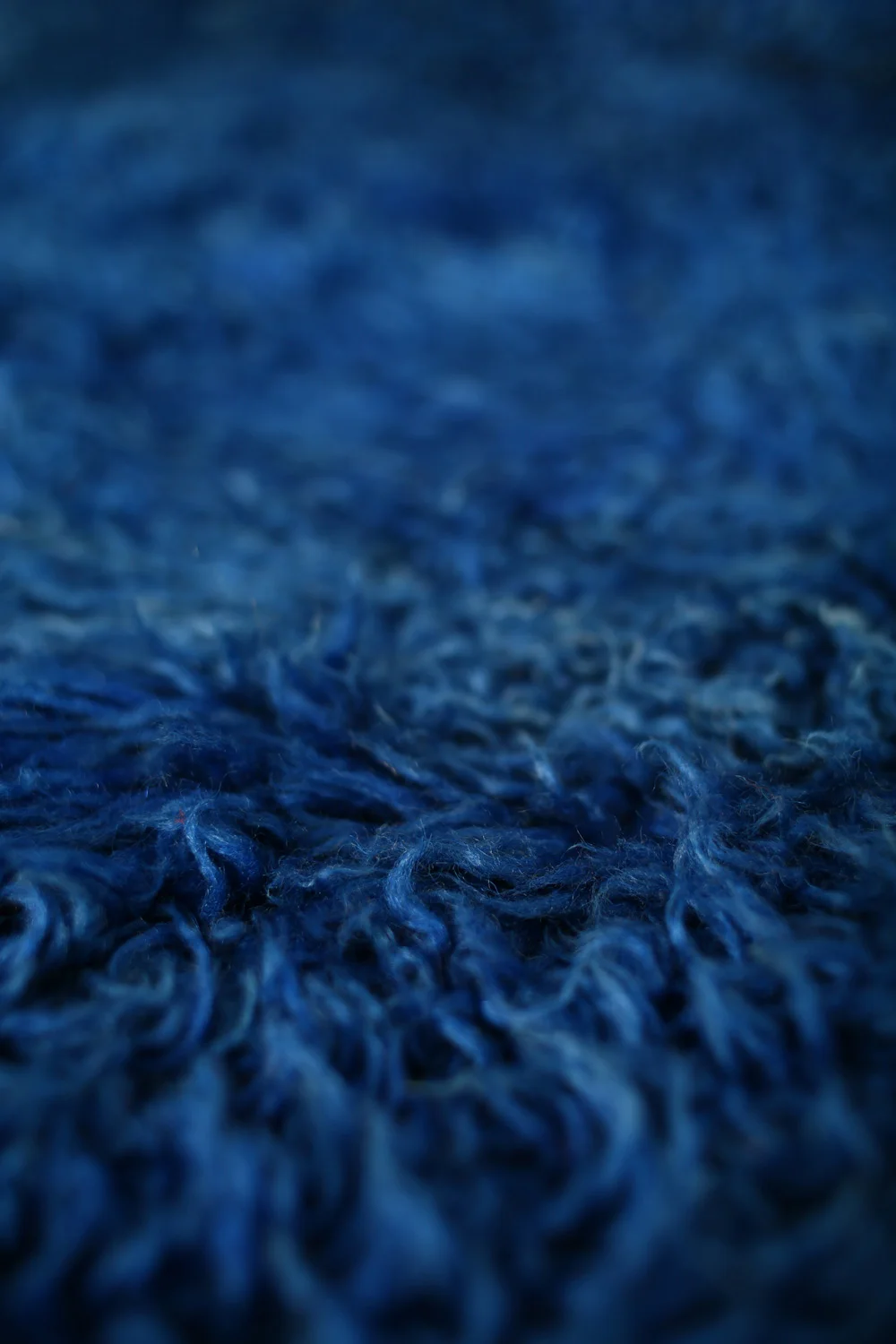 Rug243_4.jpg