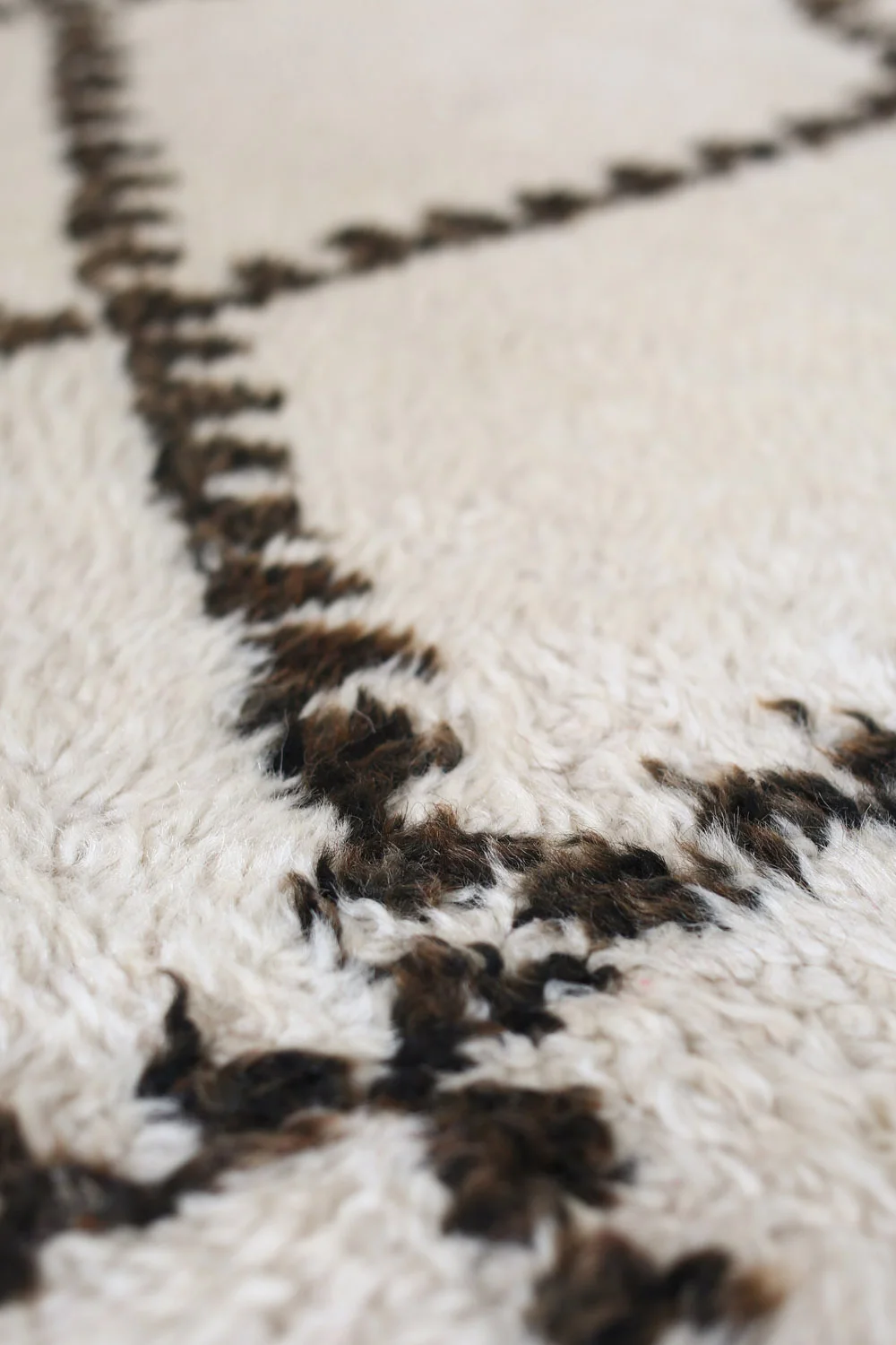Rug1011_4.jpg