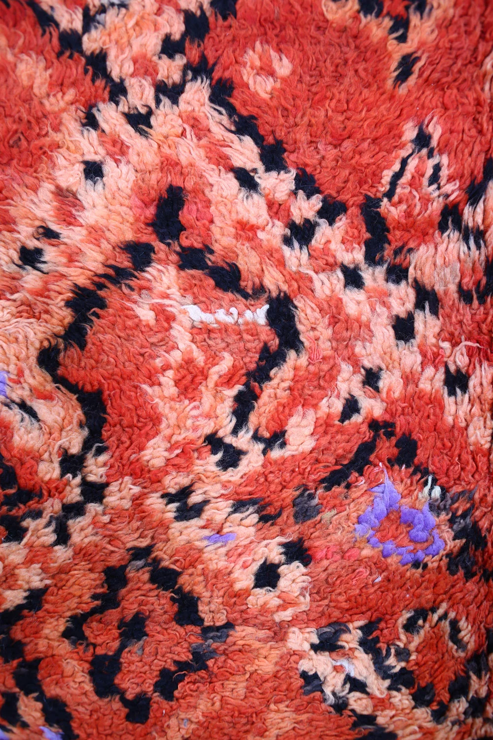 Rug1034_3.jpg
