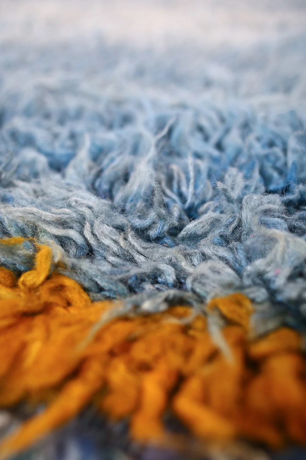 Rug249_4.jpg