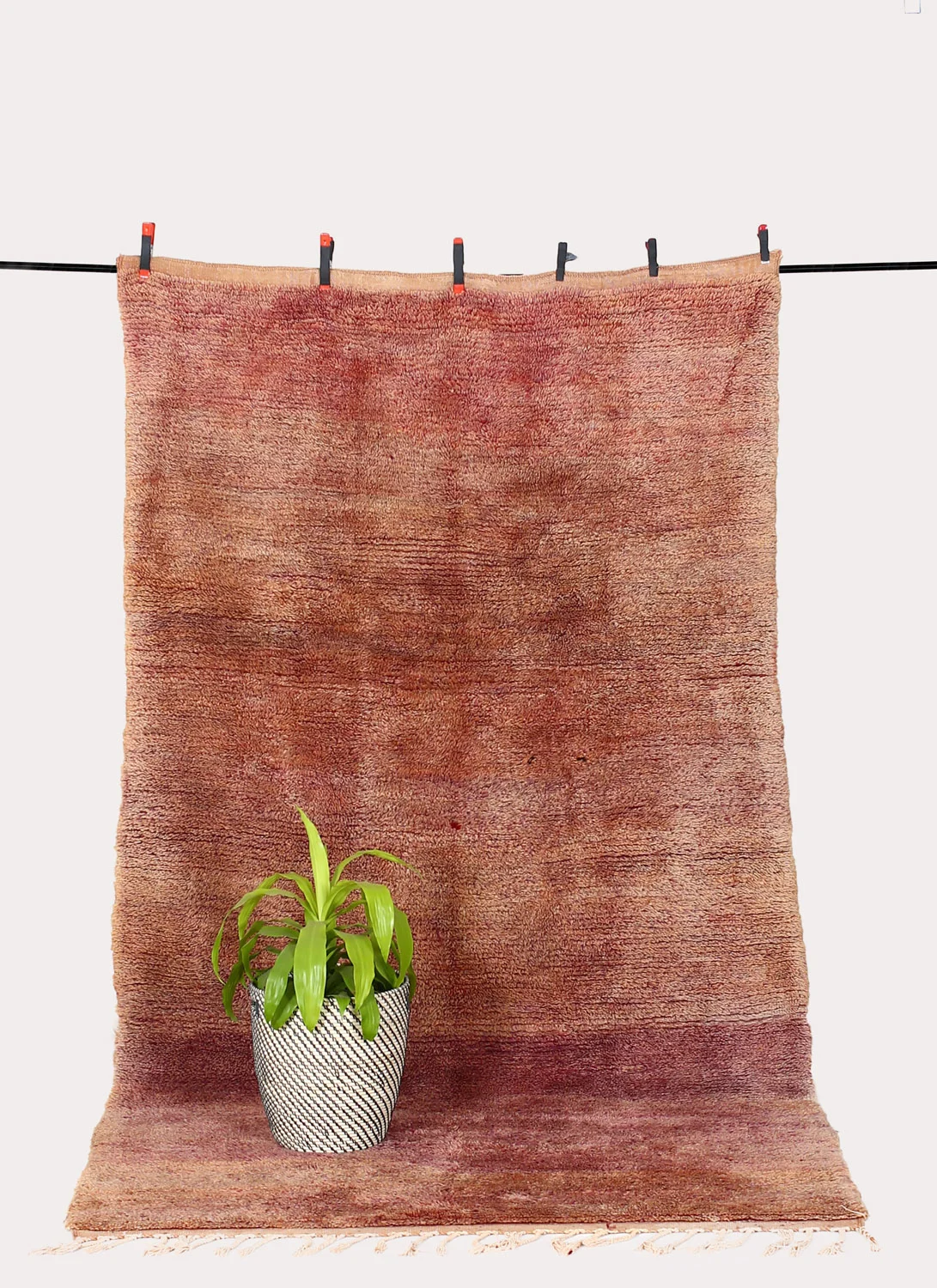 Rug1022_2.jpg