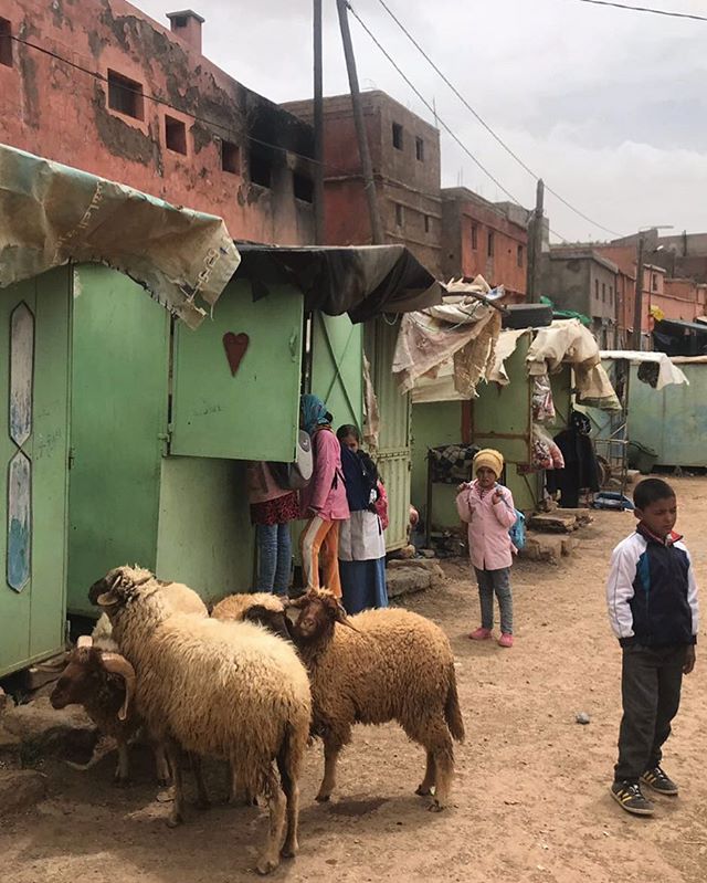 Provenance. 🐑 And a glimpse of everyday life to balance, or deepen, the tourism hotspot images of Morocco. Berber art is rural art, born of place and culture and people much removed from that world. It is a wildly sophisticated, expressive art roote