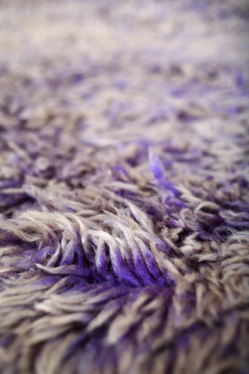 Rug246_4(2).jpg