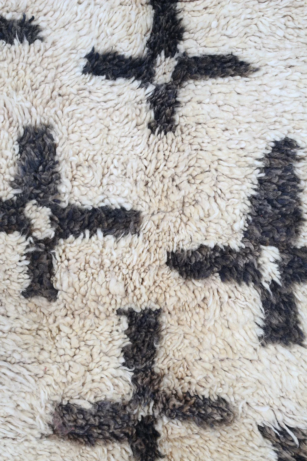 Rug1112_3.jpg