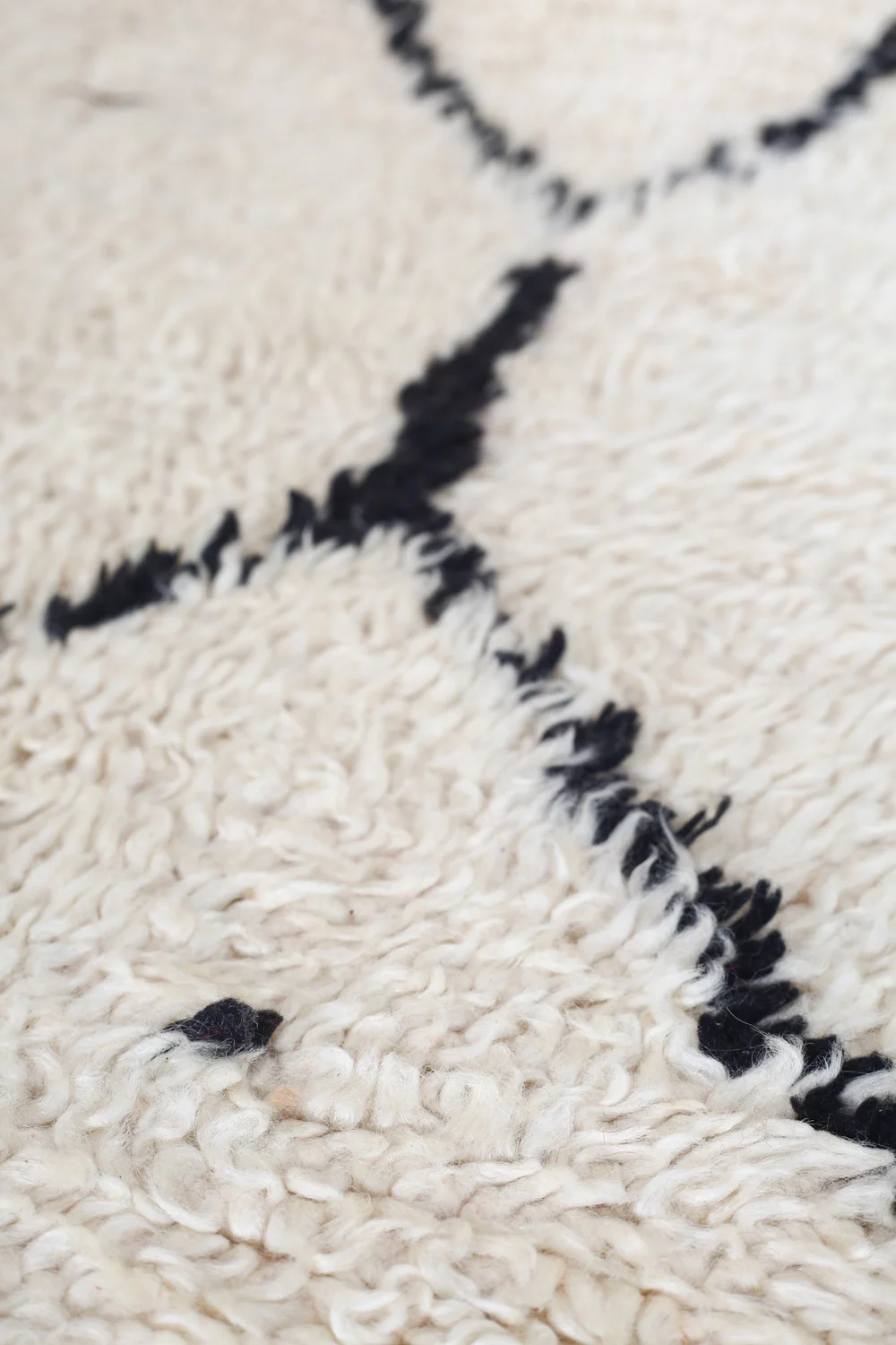 Rug1101_4.jpg