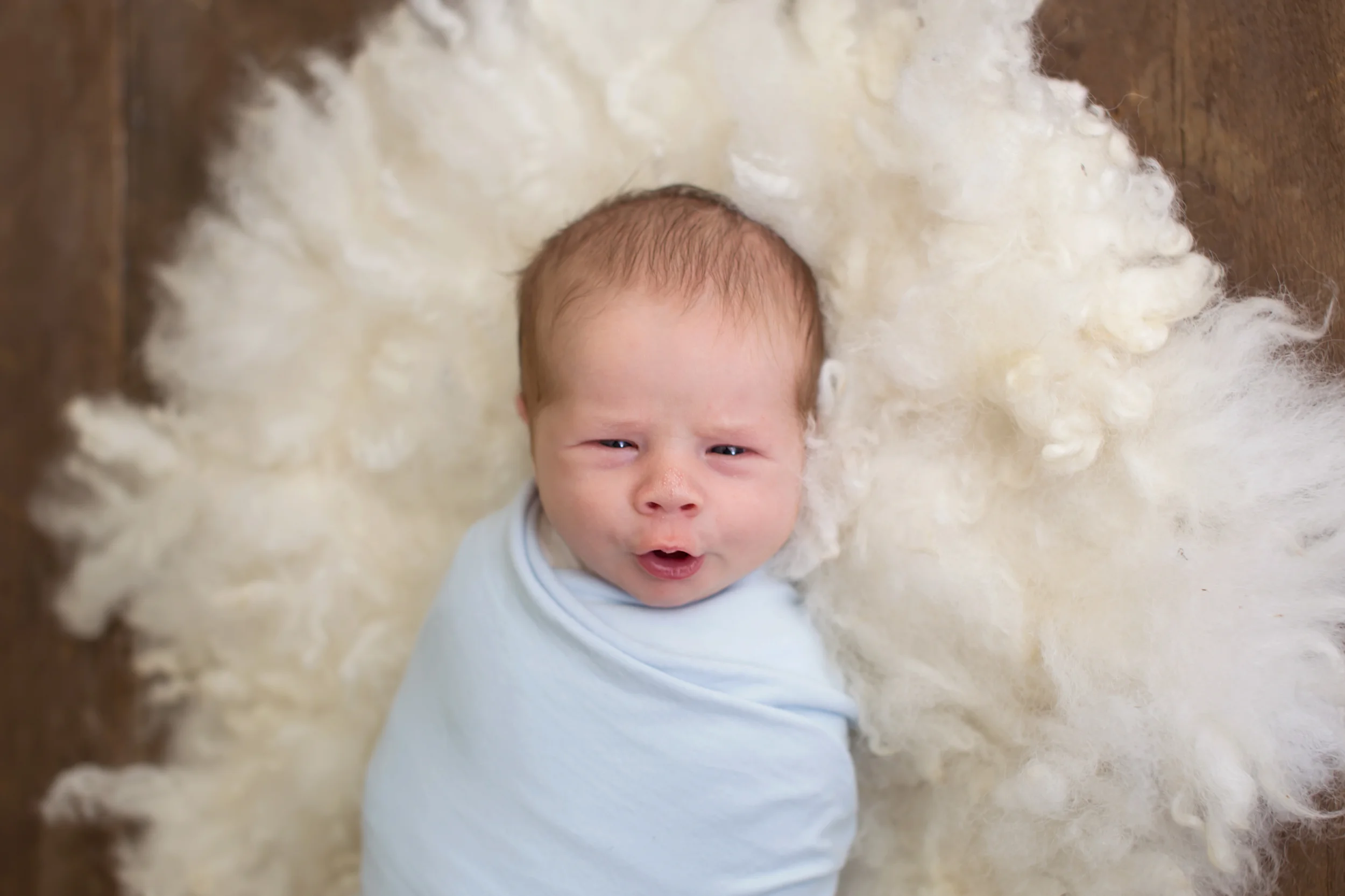 20160331 Oliver-24.jpg