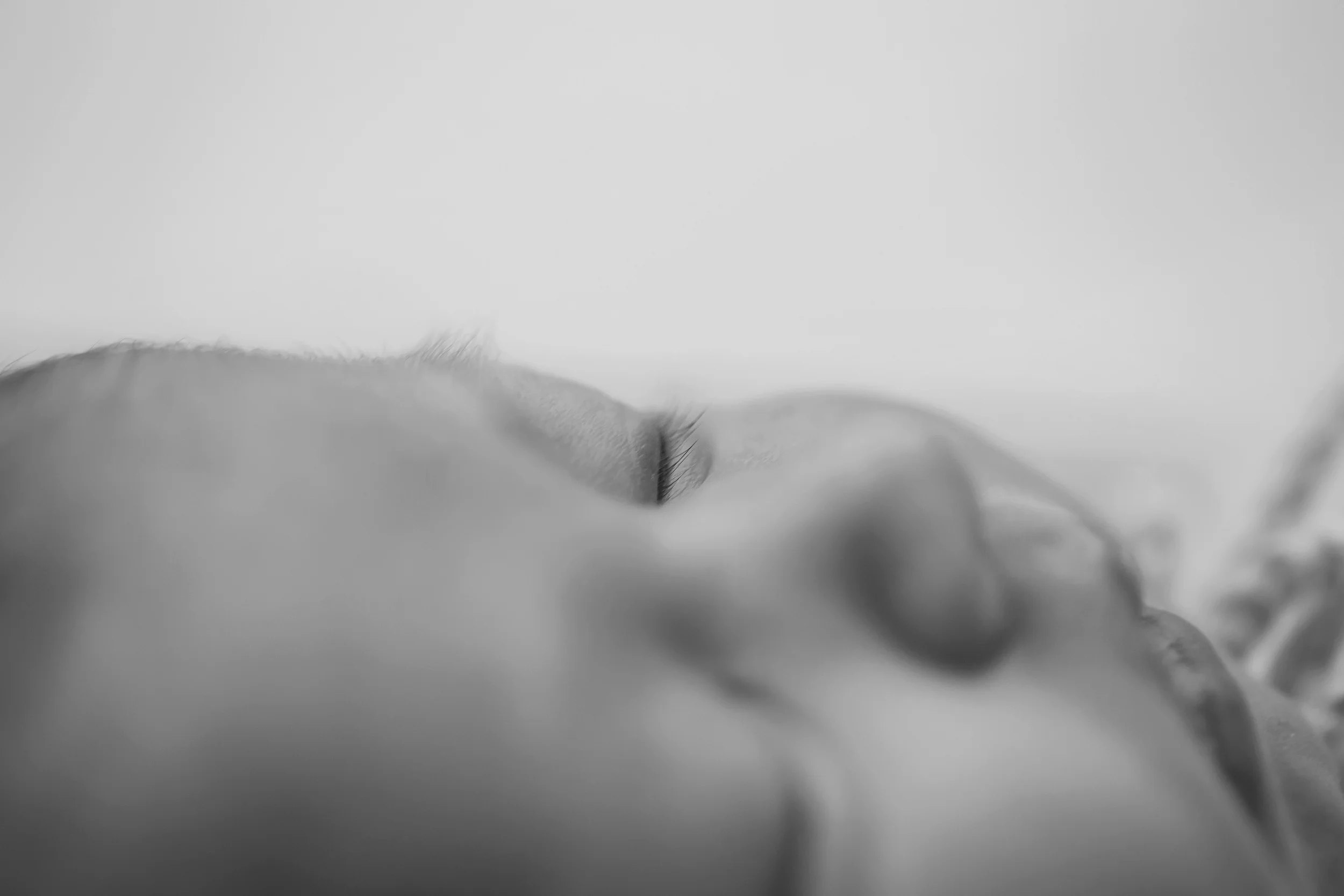 20160603 Zara Lagan-4-2.jpg