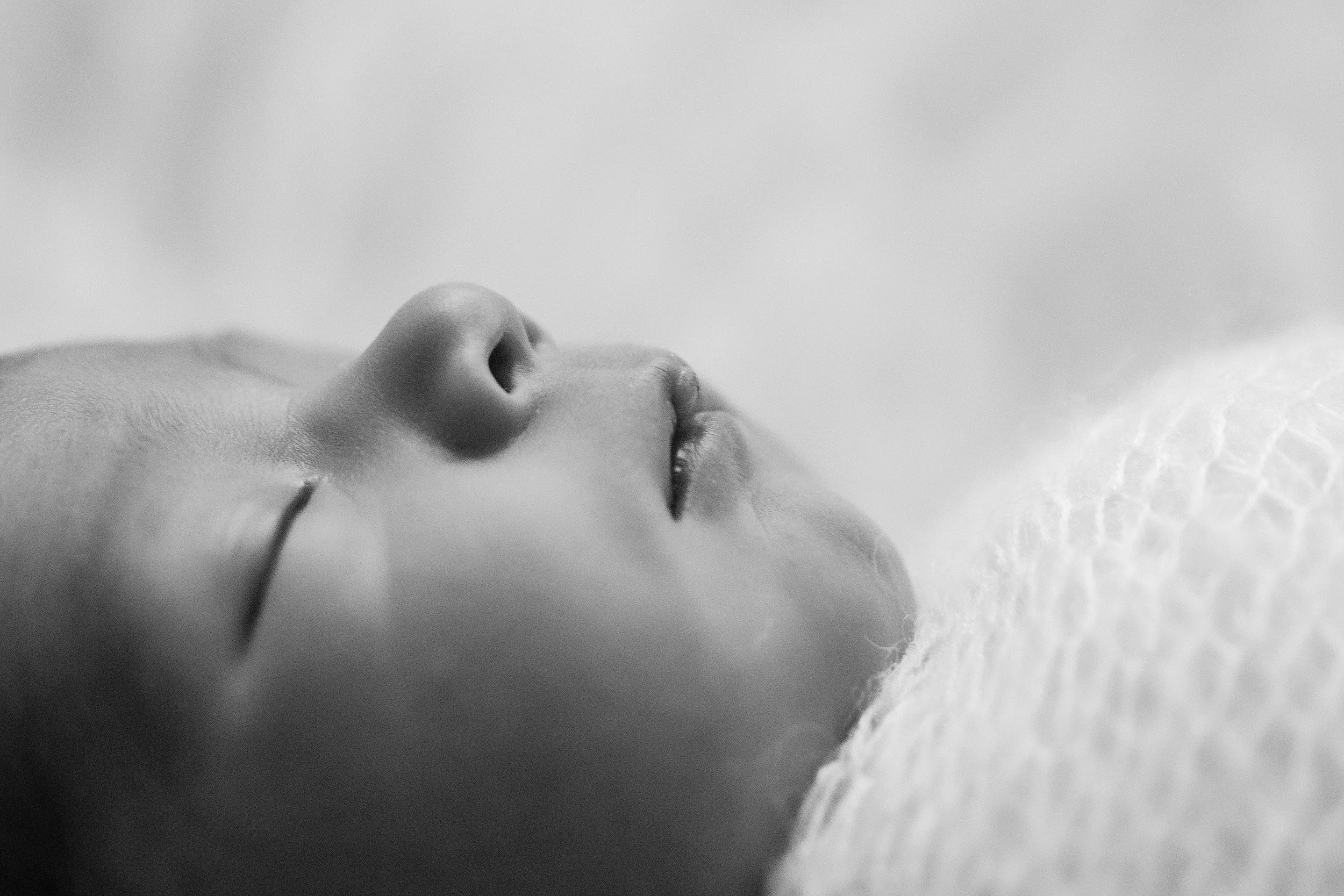 20160609 Scarlett-1-2.jpg