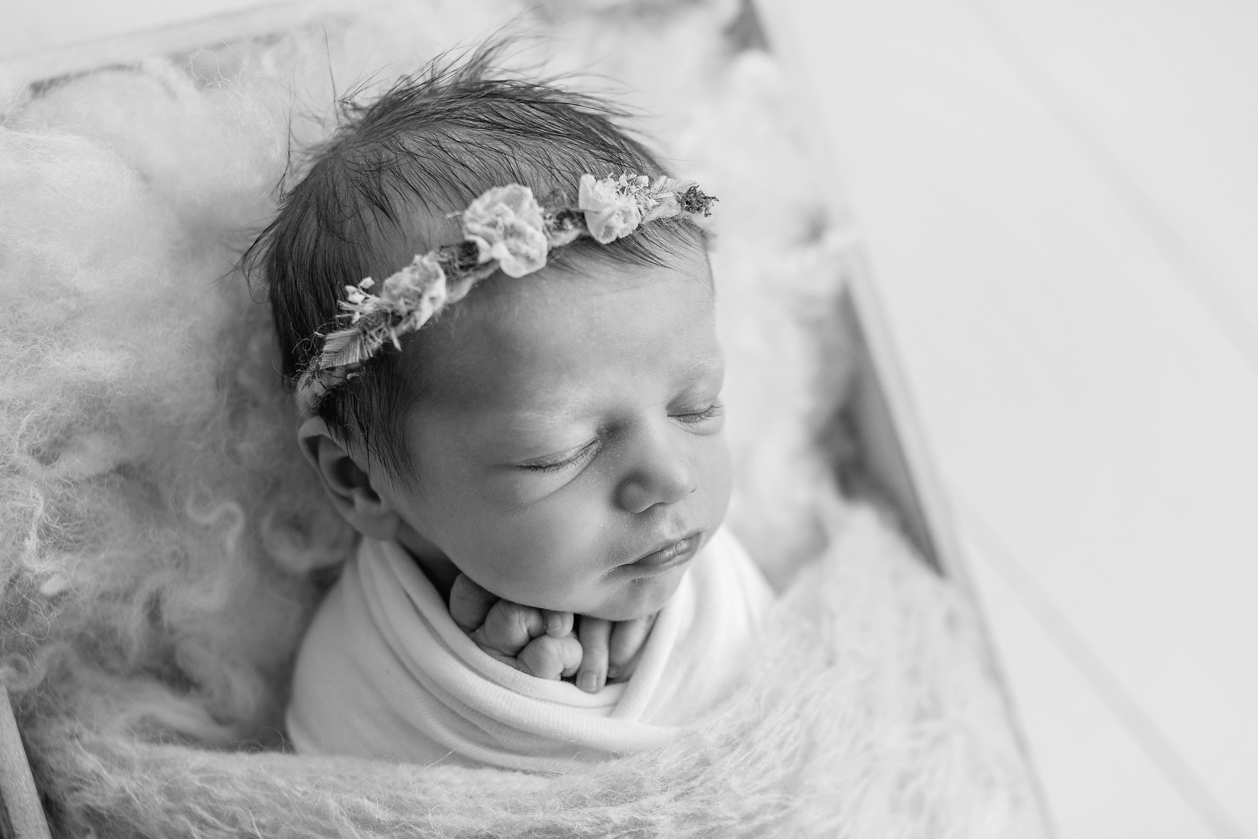 20160905 Willow-17-2.jpg