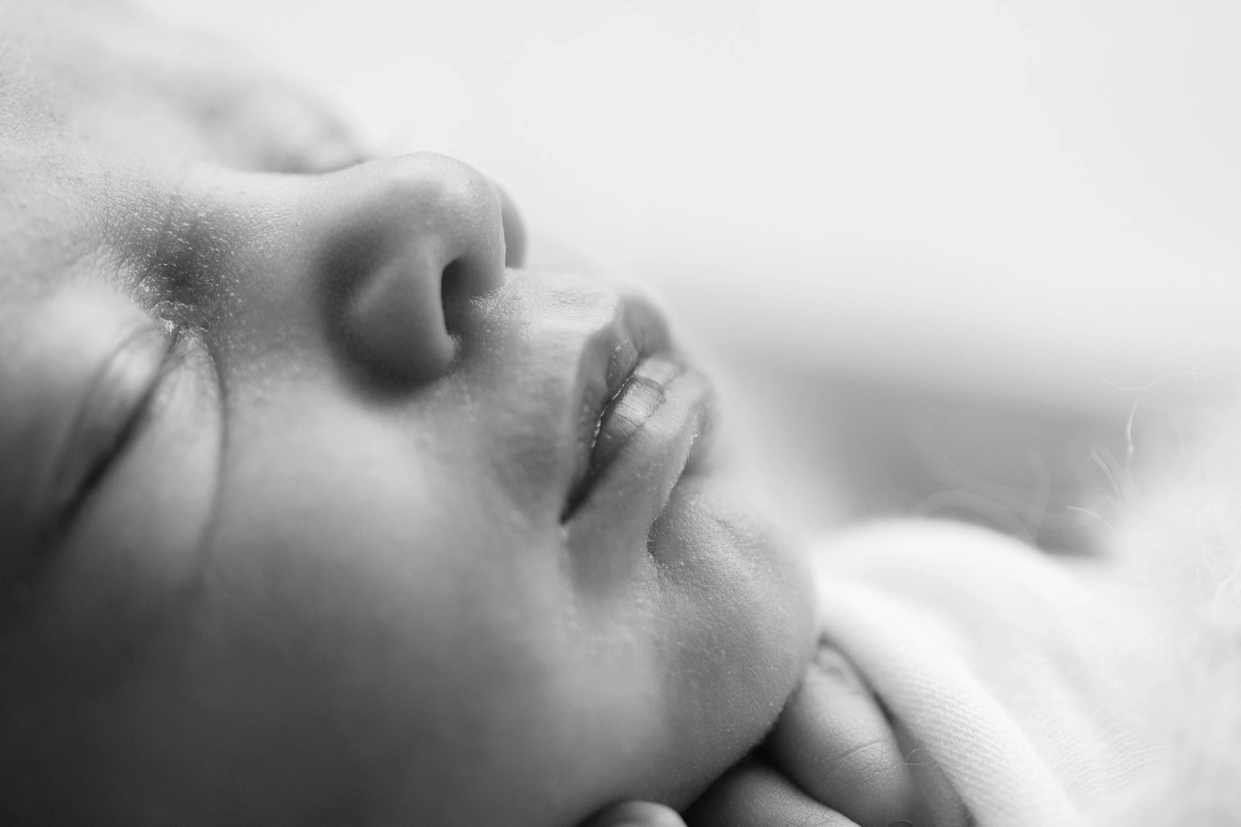 20160905 Willow-18-2.jpg