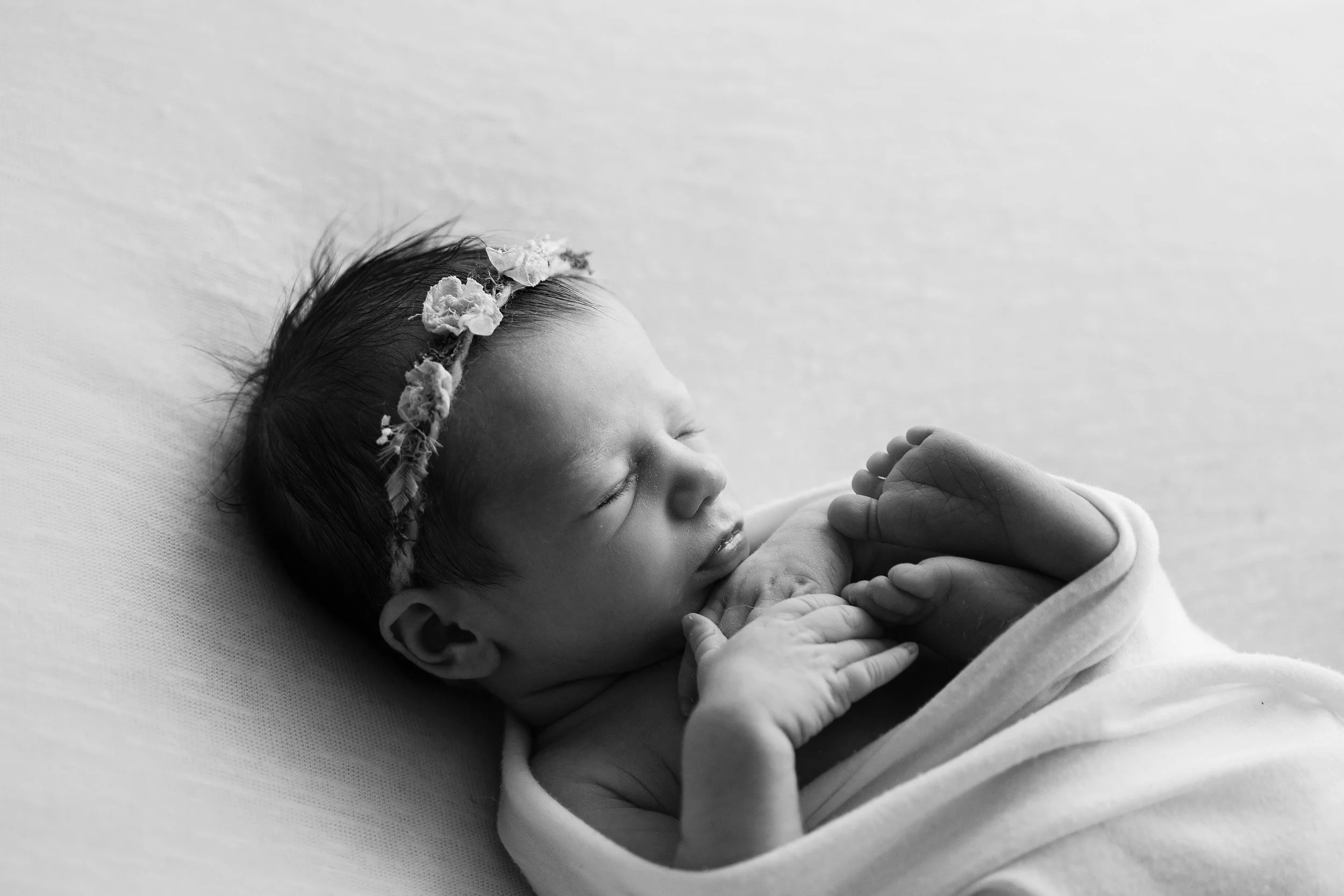 20160905 Willow-24-2.jpg