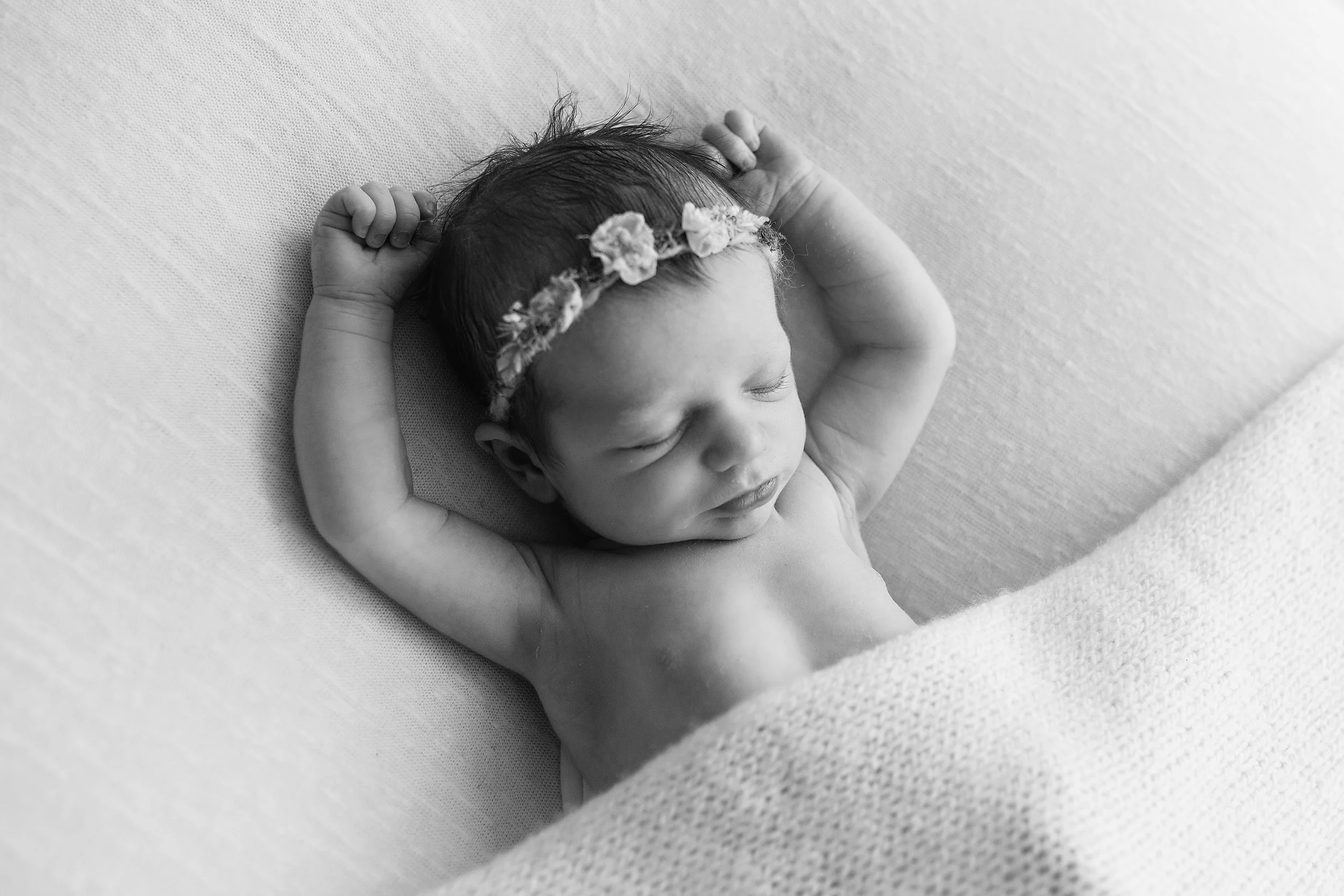 20160905 Willow-26-2.jpg