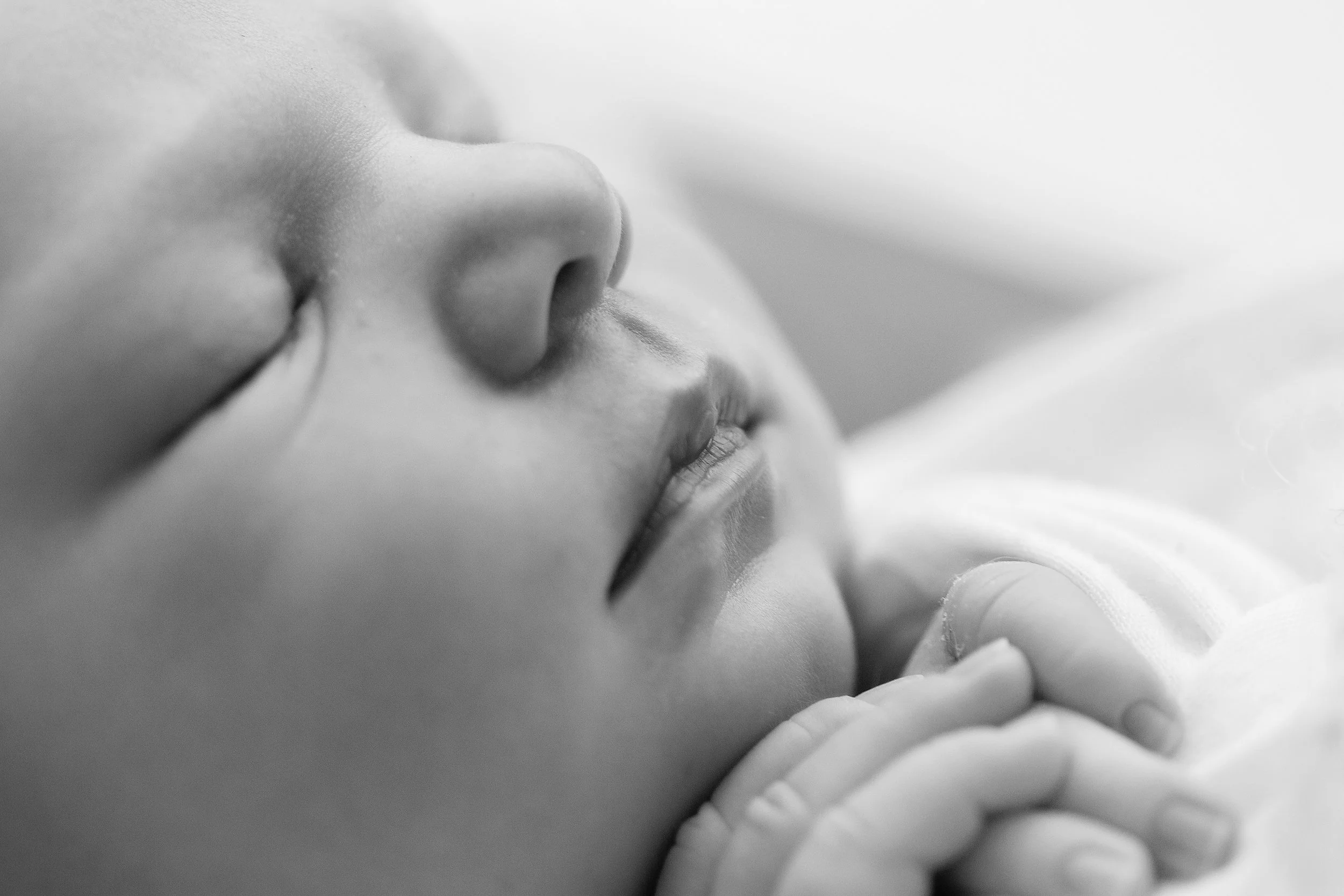 20160917 Madison Nicola Freeman-21-2.jpg
