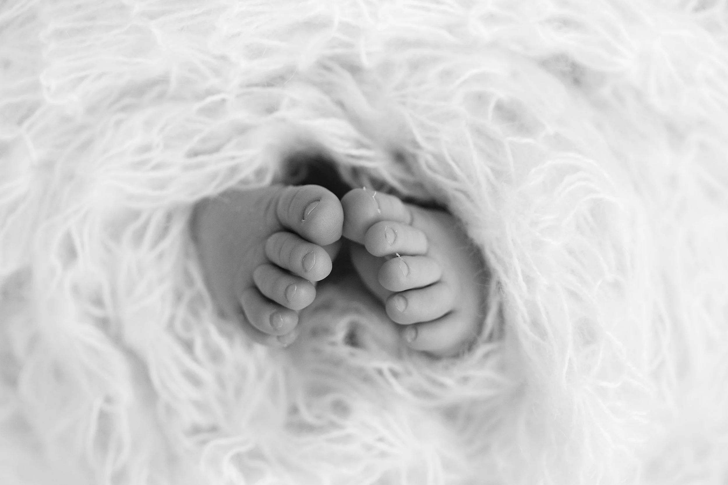 20160917 Madison Nicola Freeman-30-2.jpg