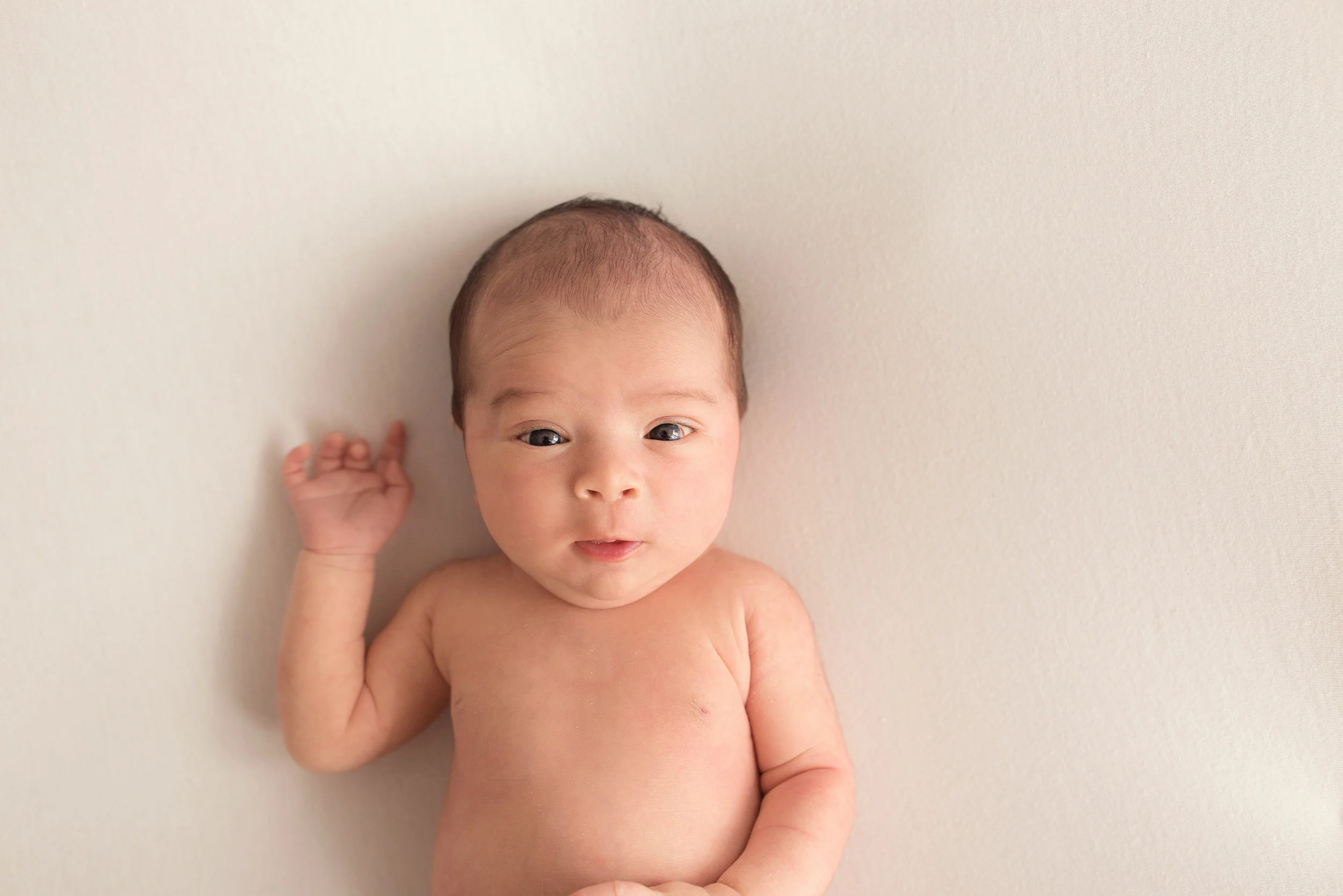 20160918 Noah-35.jpg