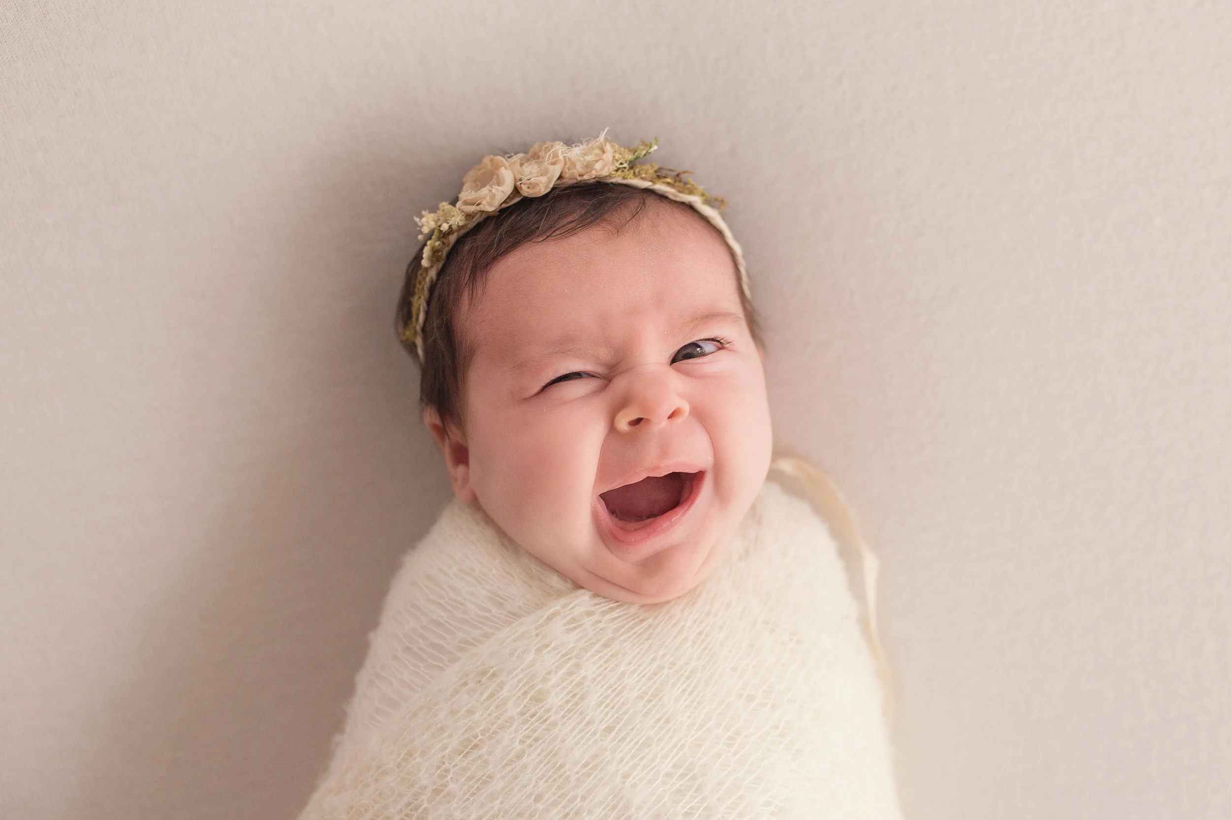 20161020 Hazel-6 Weeks-Soft Proof-1.jpg