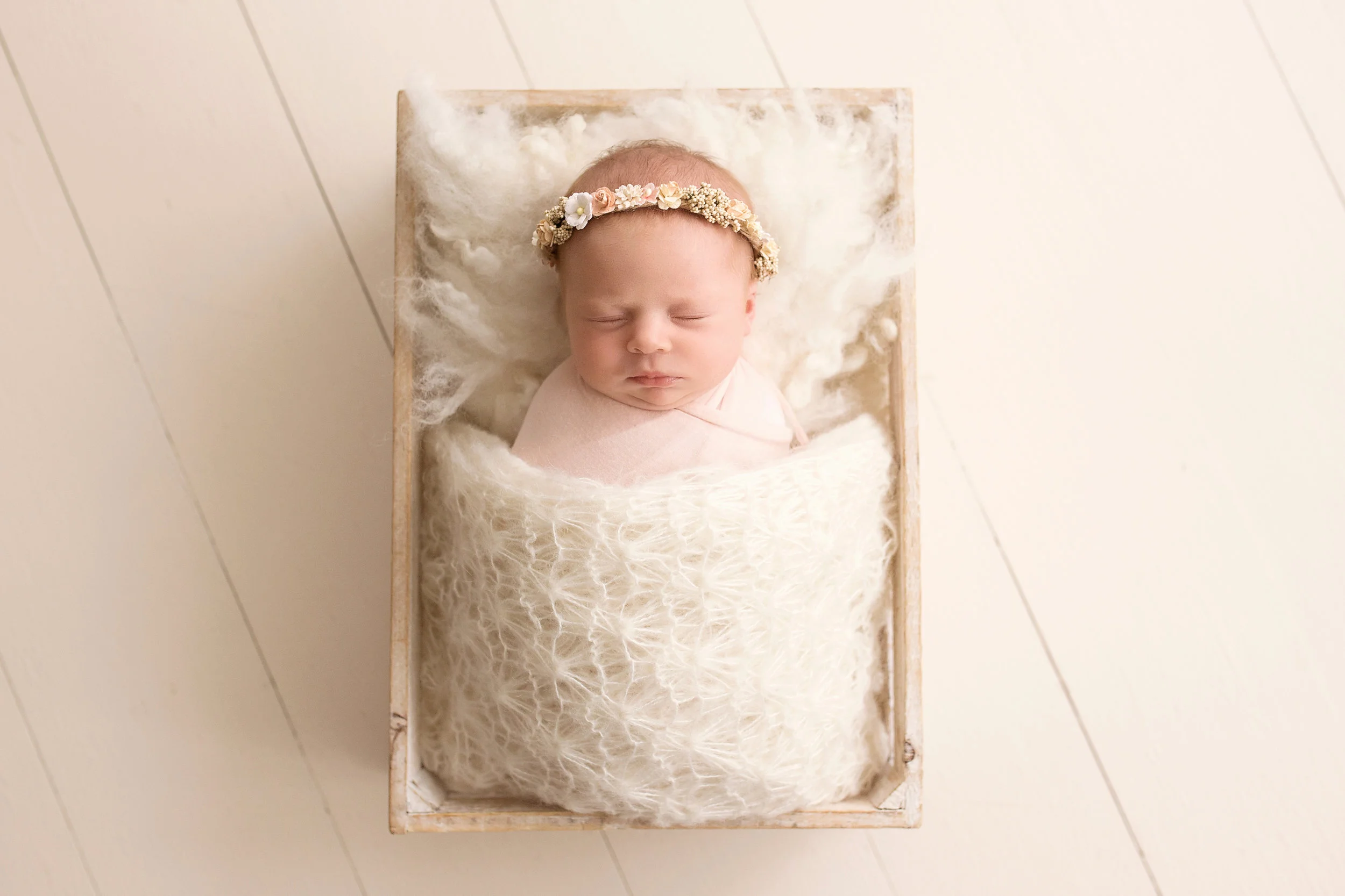 20161028 Penelope-14.jpg