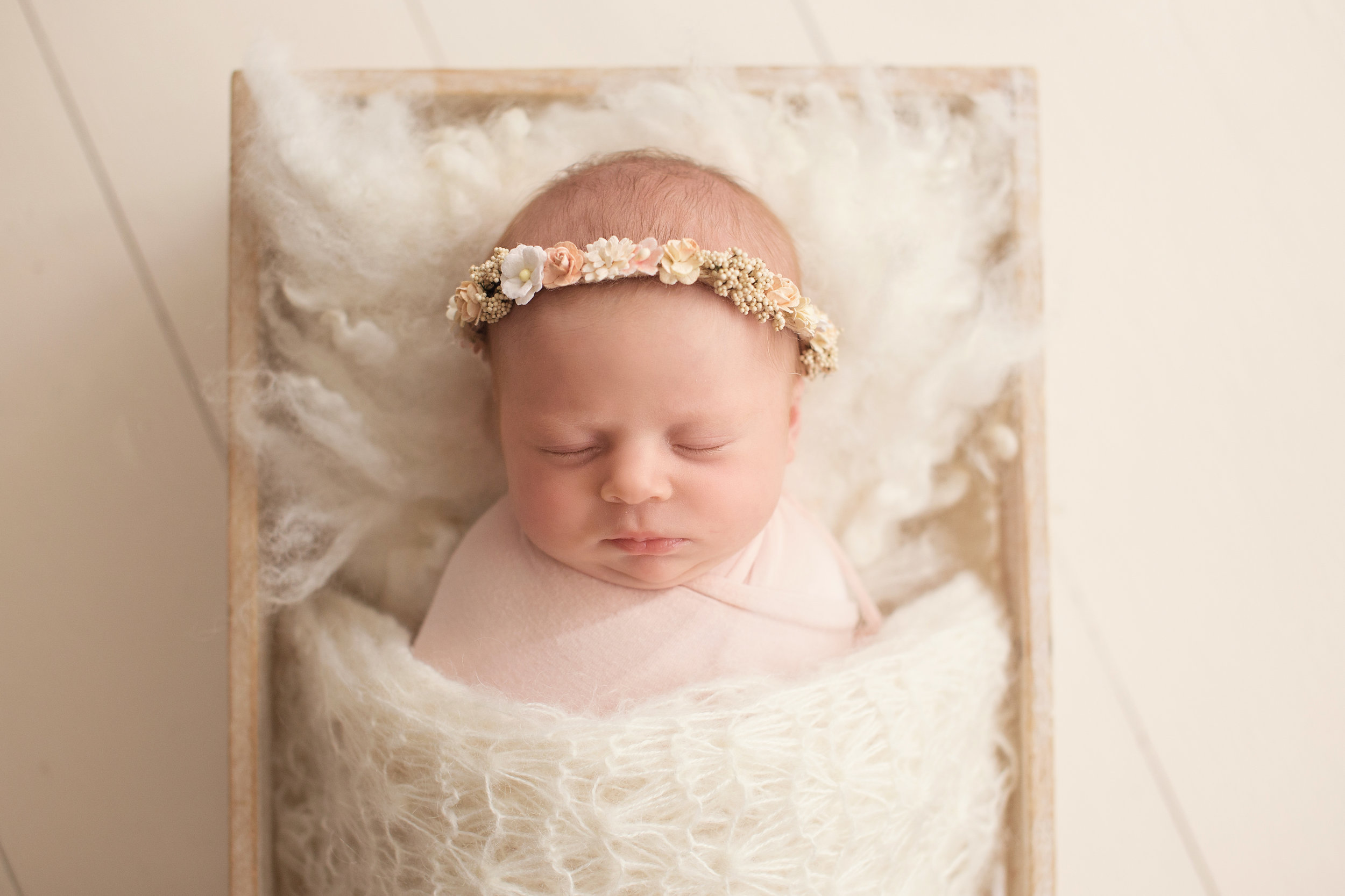 20161028 Penelope-15.jpg
