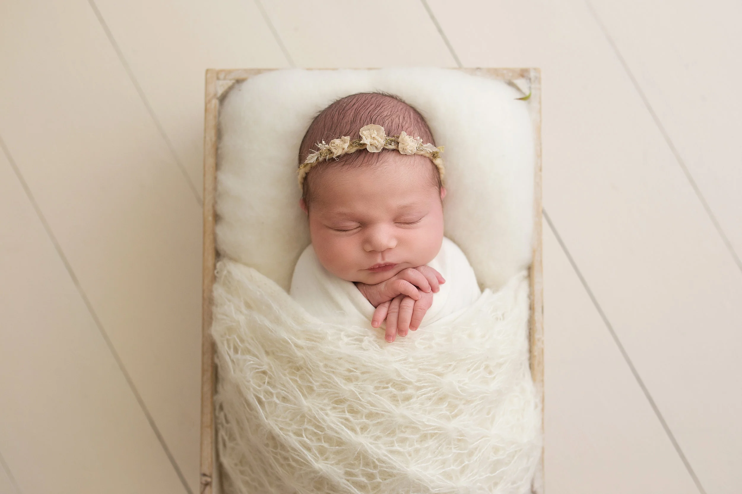20161102 Sadie-2.jpg
