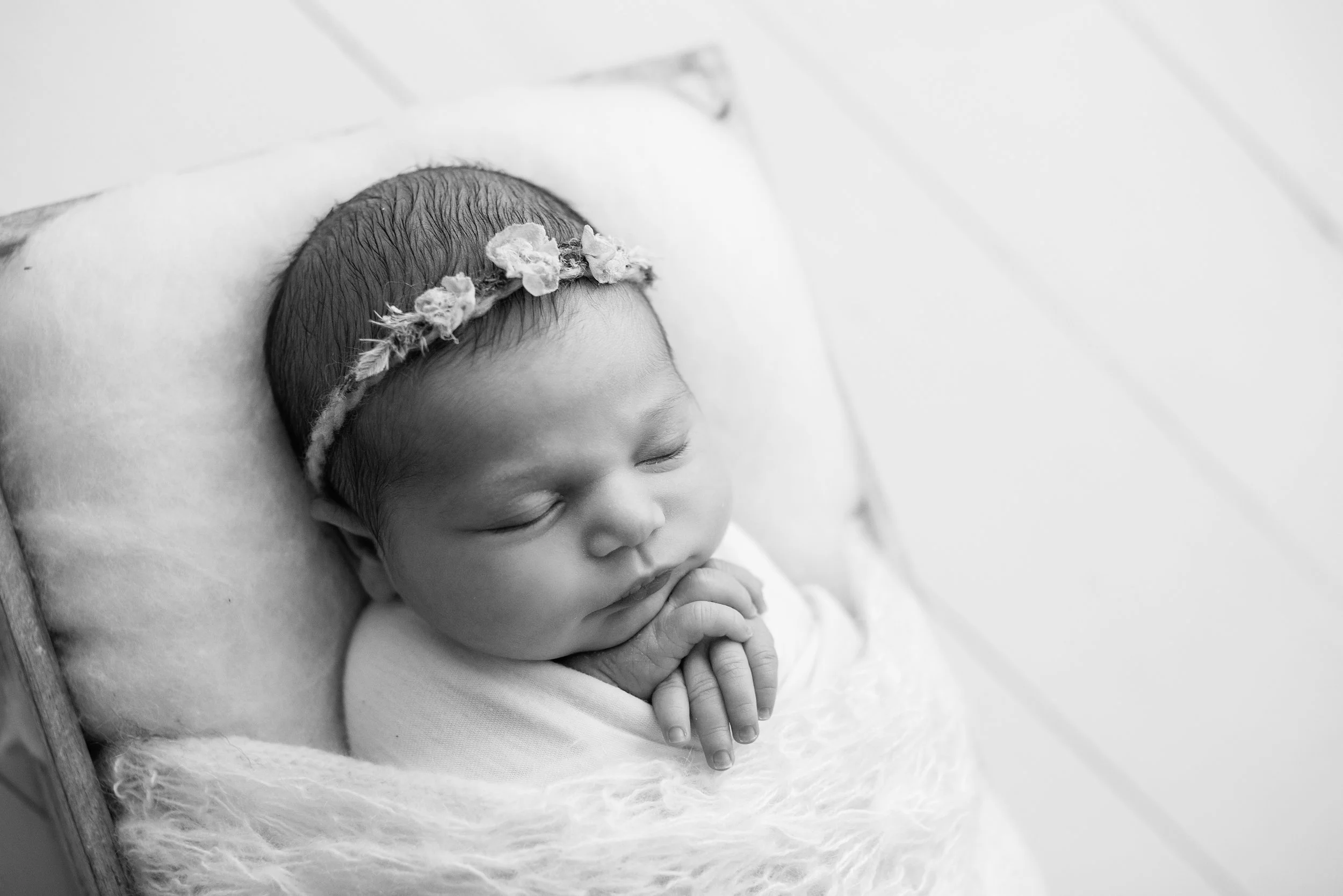 20161102 Sadie-3-2.jpg
