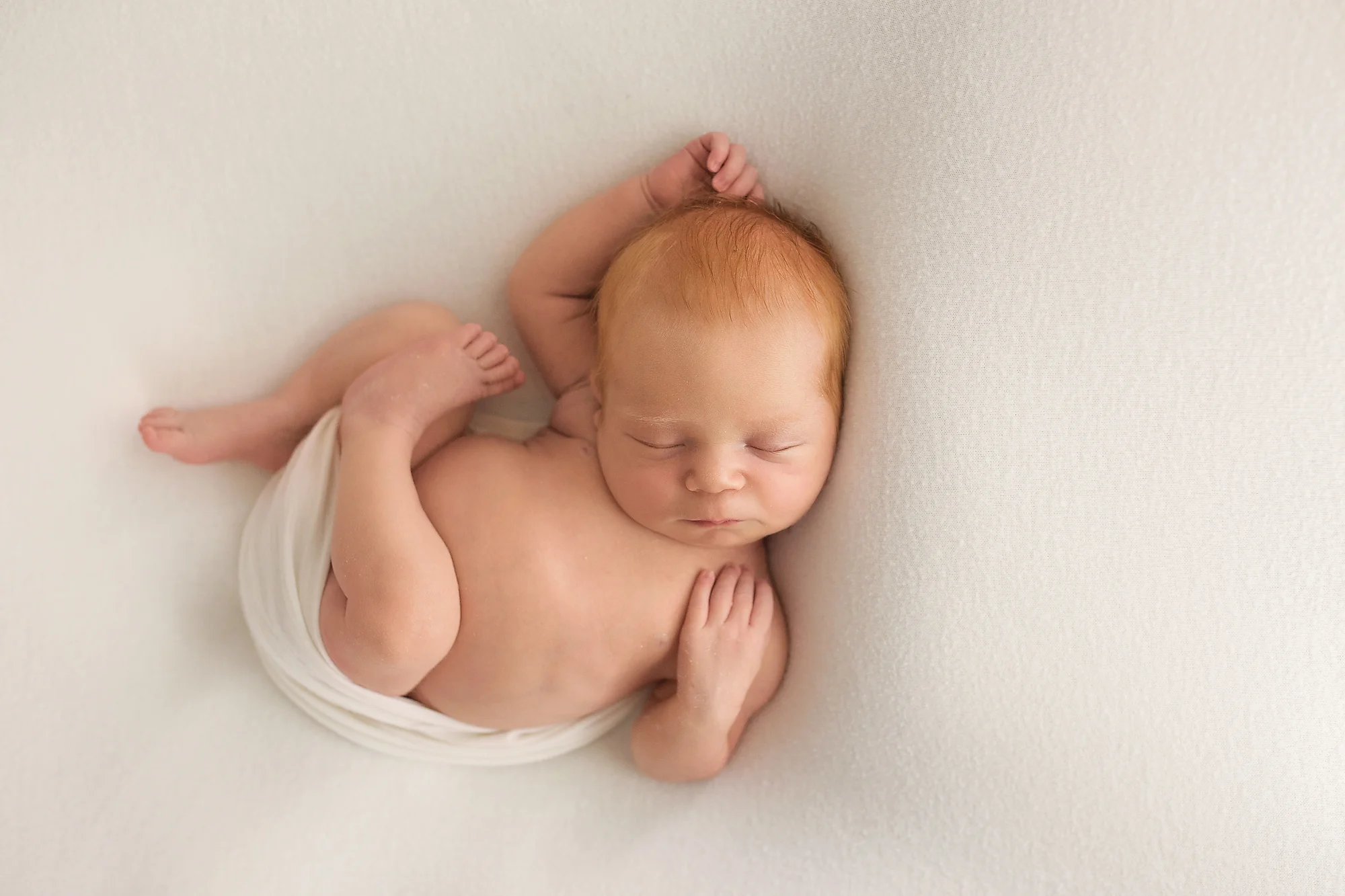 20161110 Archie-25 copy.jpg