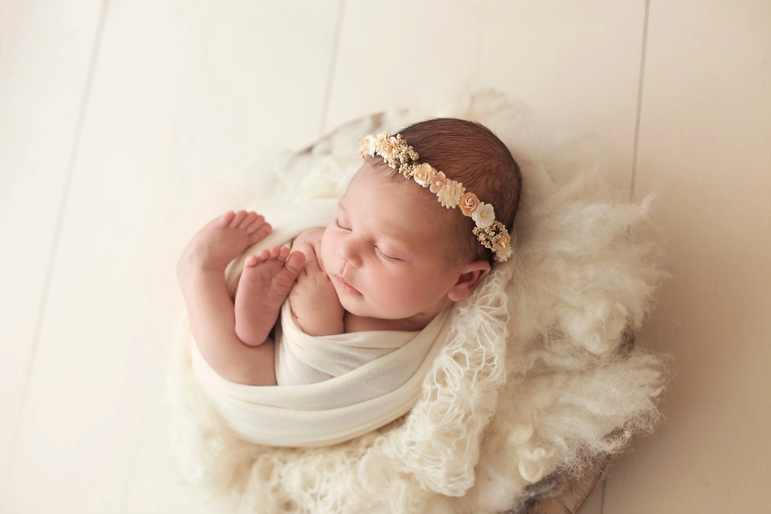 20161102 Sadie-12.jpg