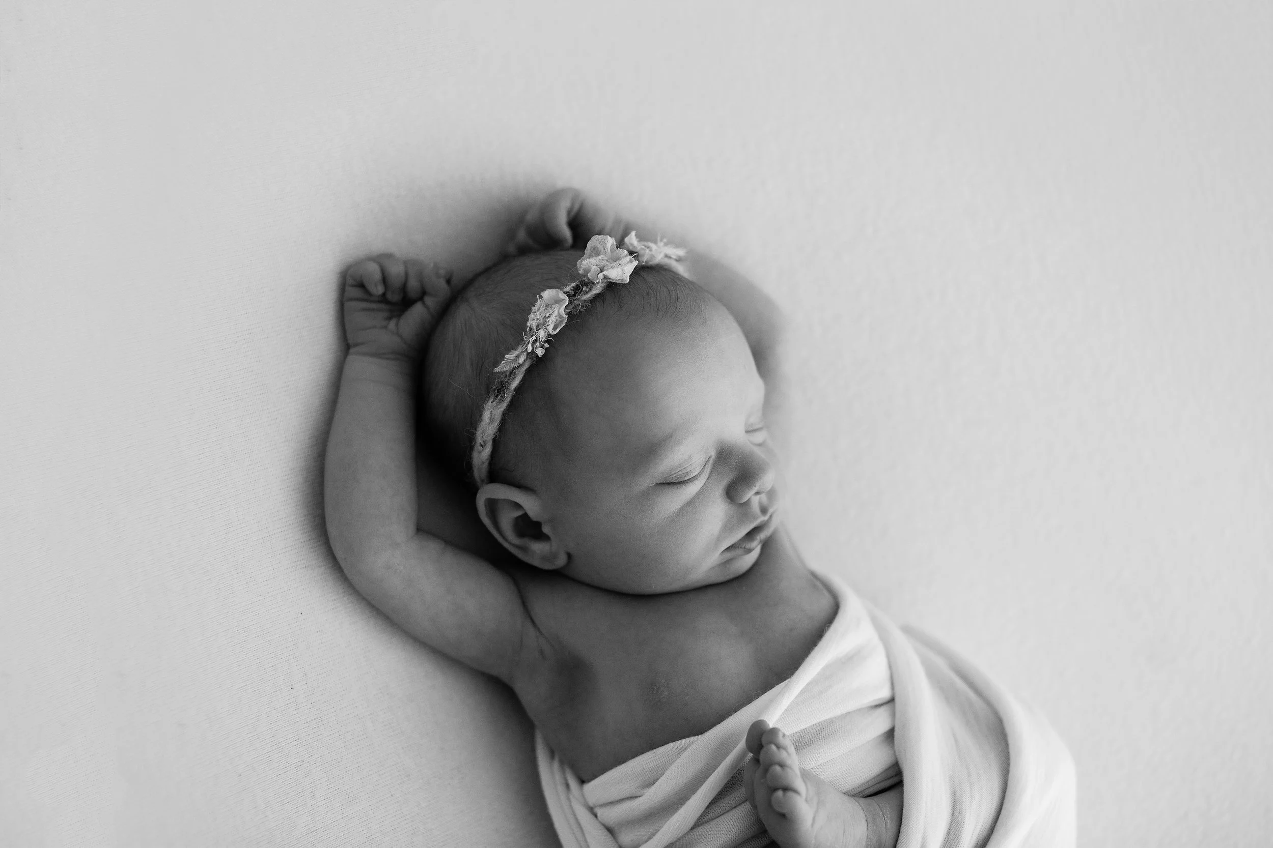 20161121 Chloe-14-2.jpg