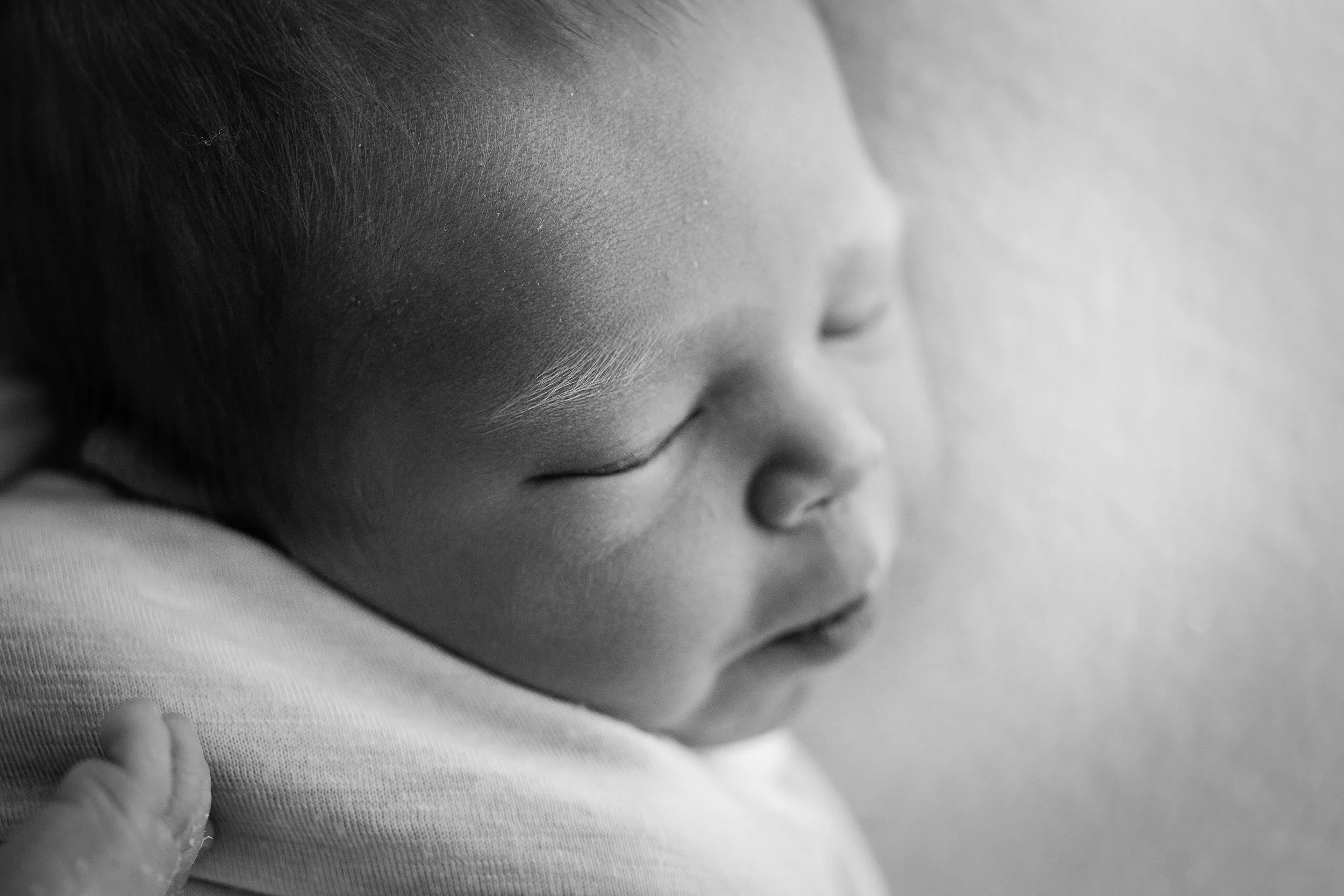20161110 Archie-10-2.jpg