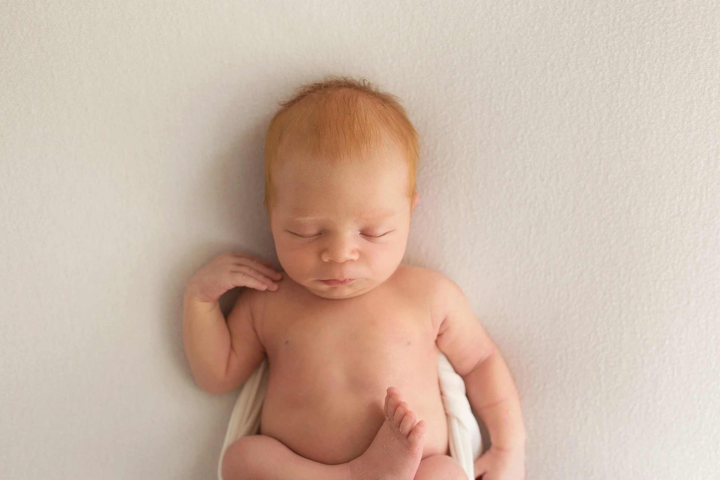 20161110 Archie-13.jpg