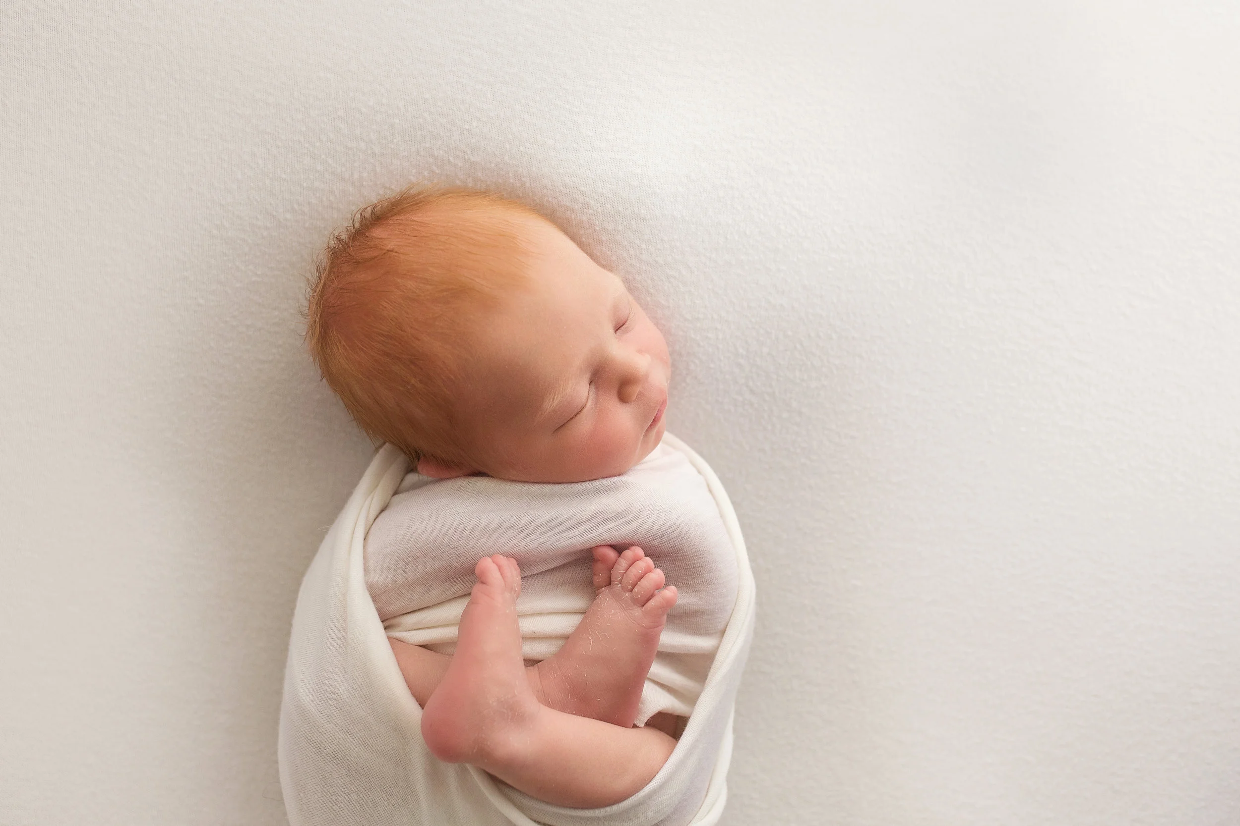 20161110 Archie-11.jpg