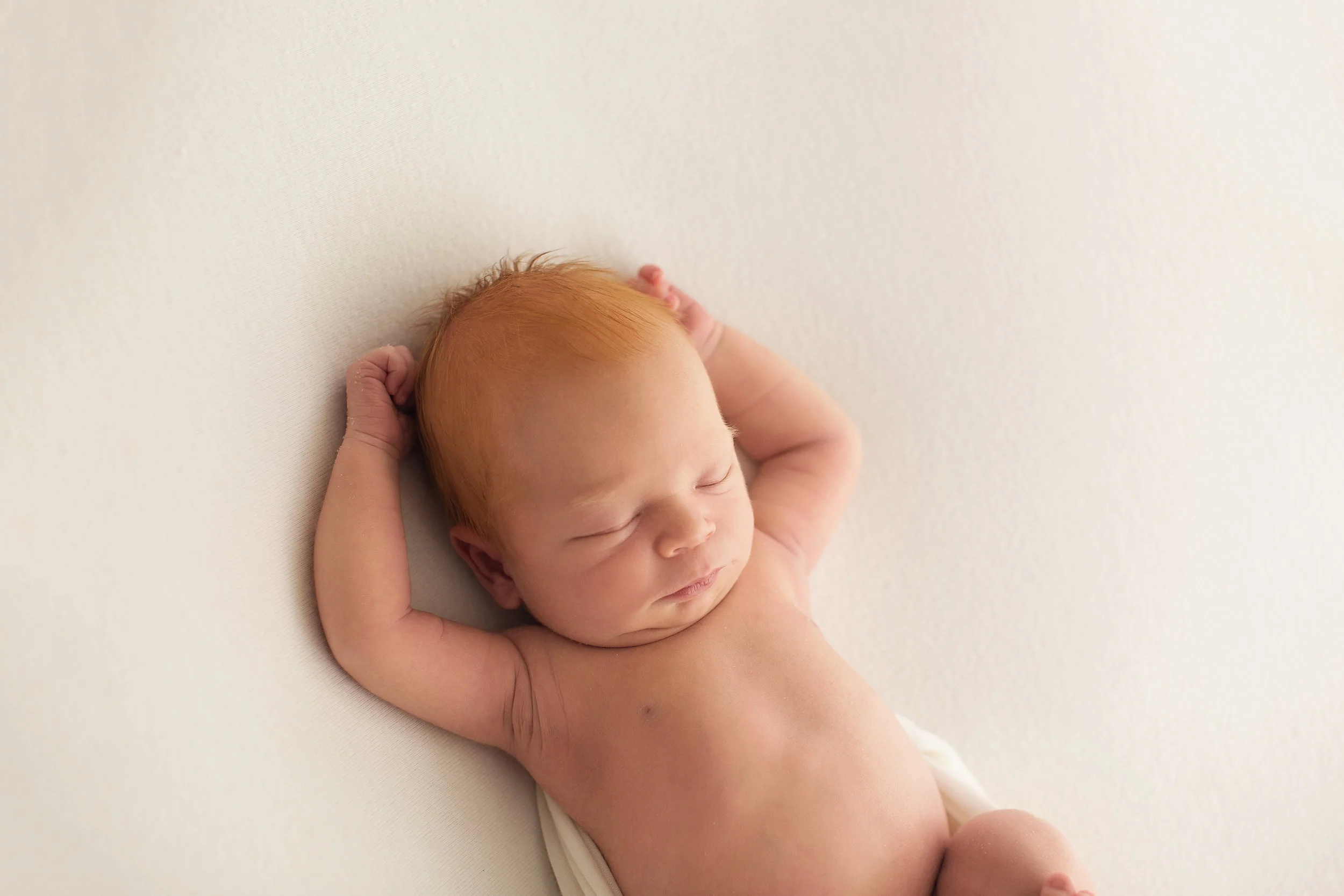 20161110 Archie-14.jpg