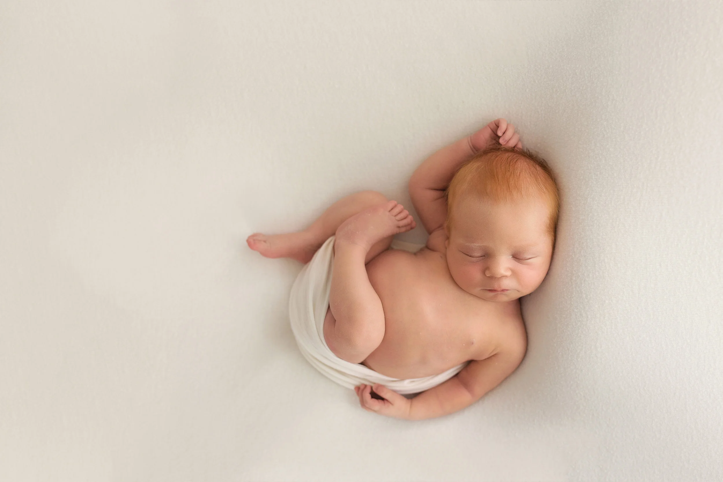 20161110 Archie-24.jpg