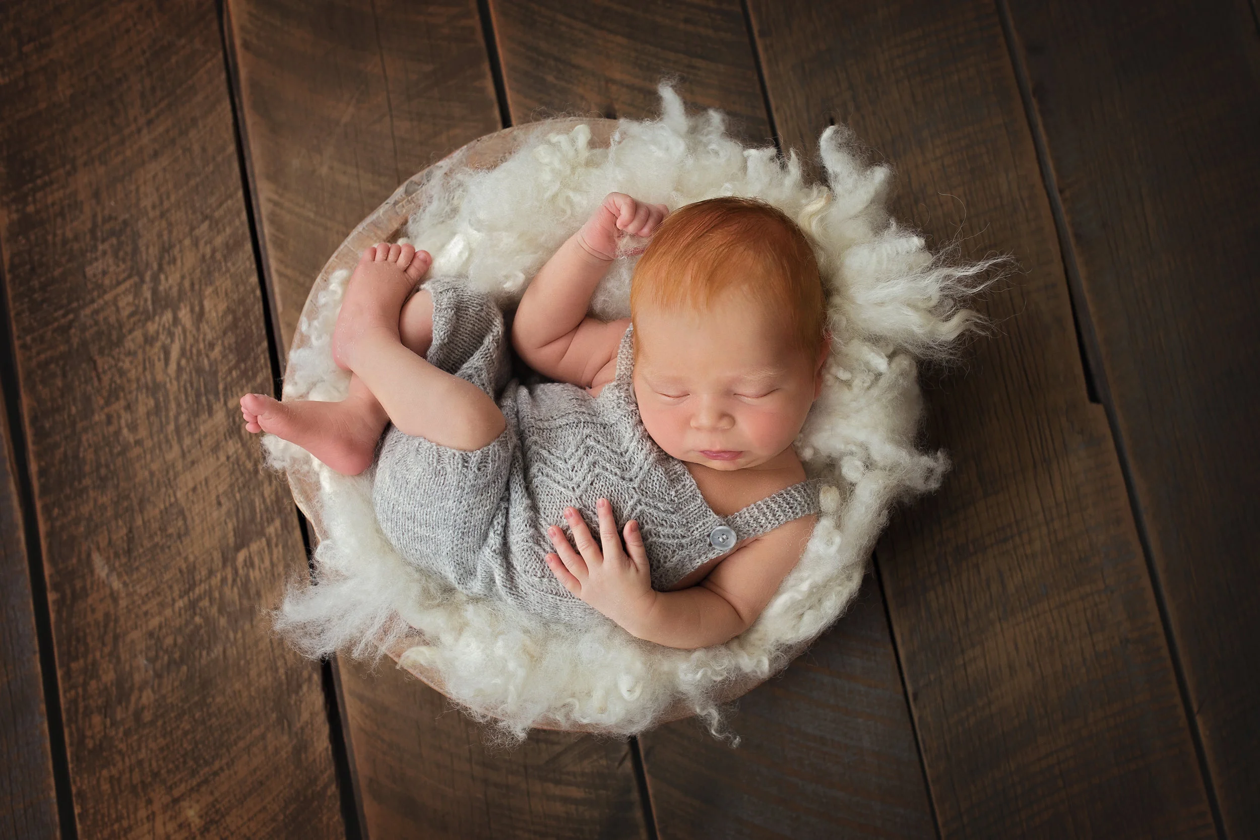 20161110 Archie-28.jpg