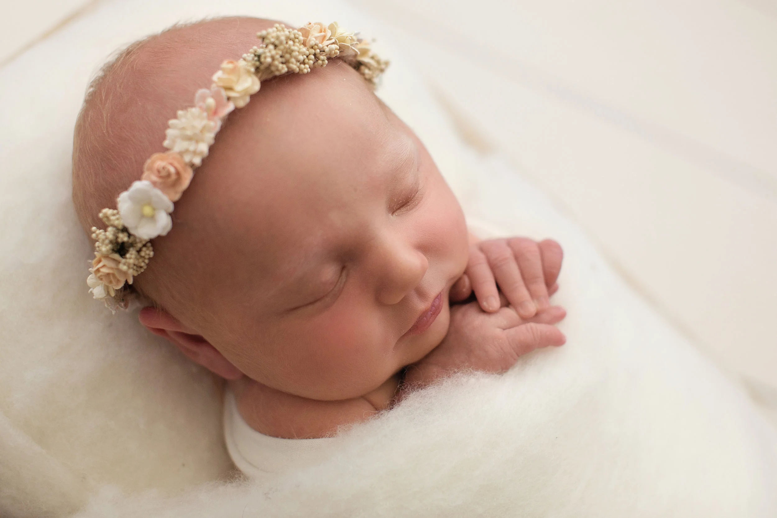 20161129 Harper-1.jpg