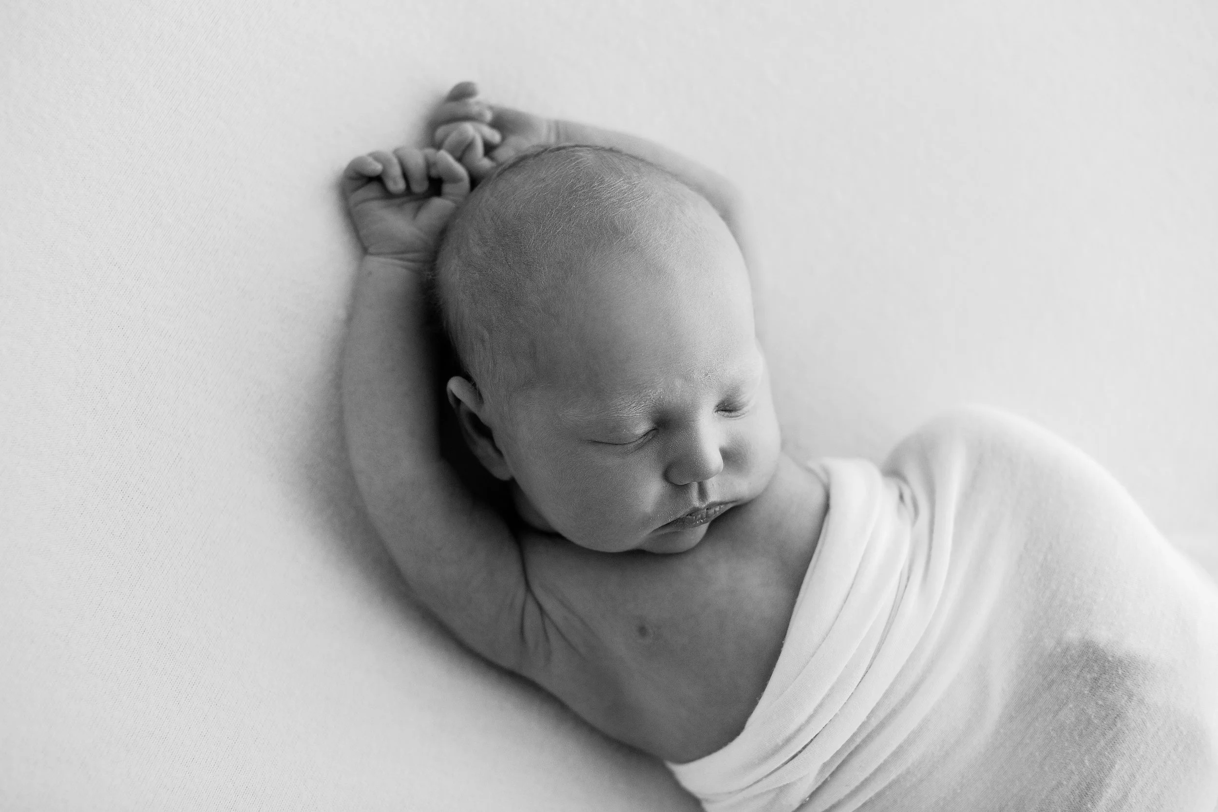20161129 Harper-7-2.jpg
