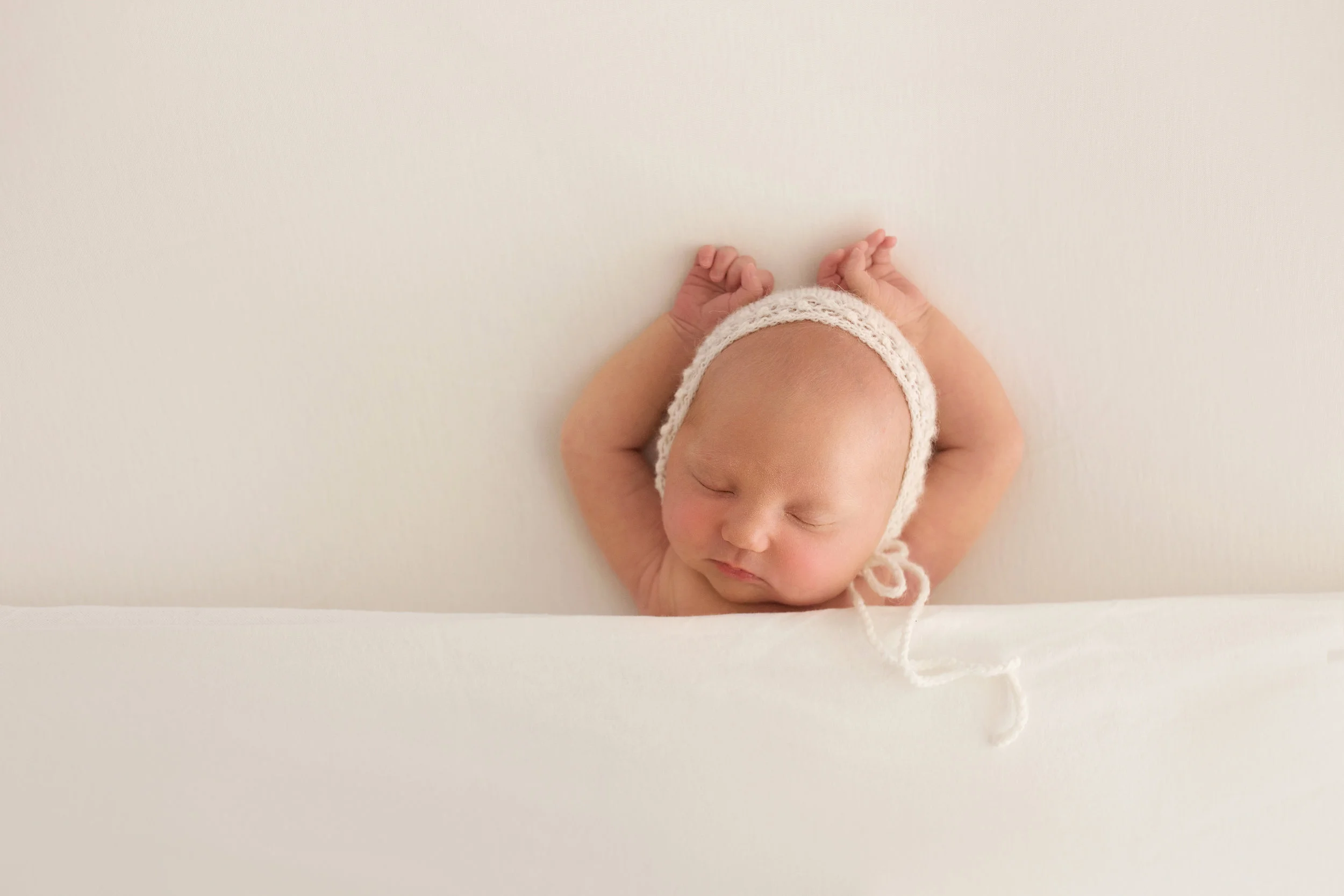 20161129 Harper-6.jpg