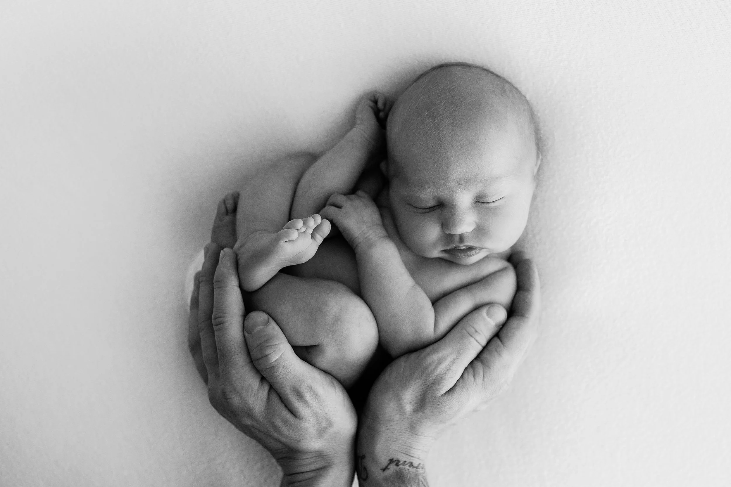 20161129 Harper-13-2.jpg
