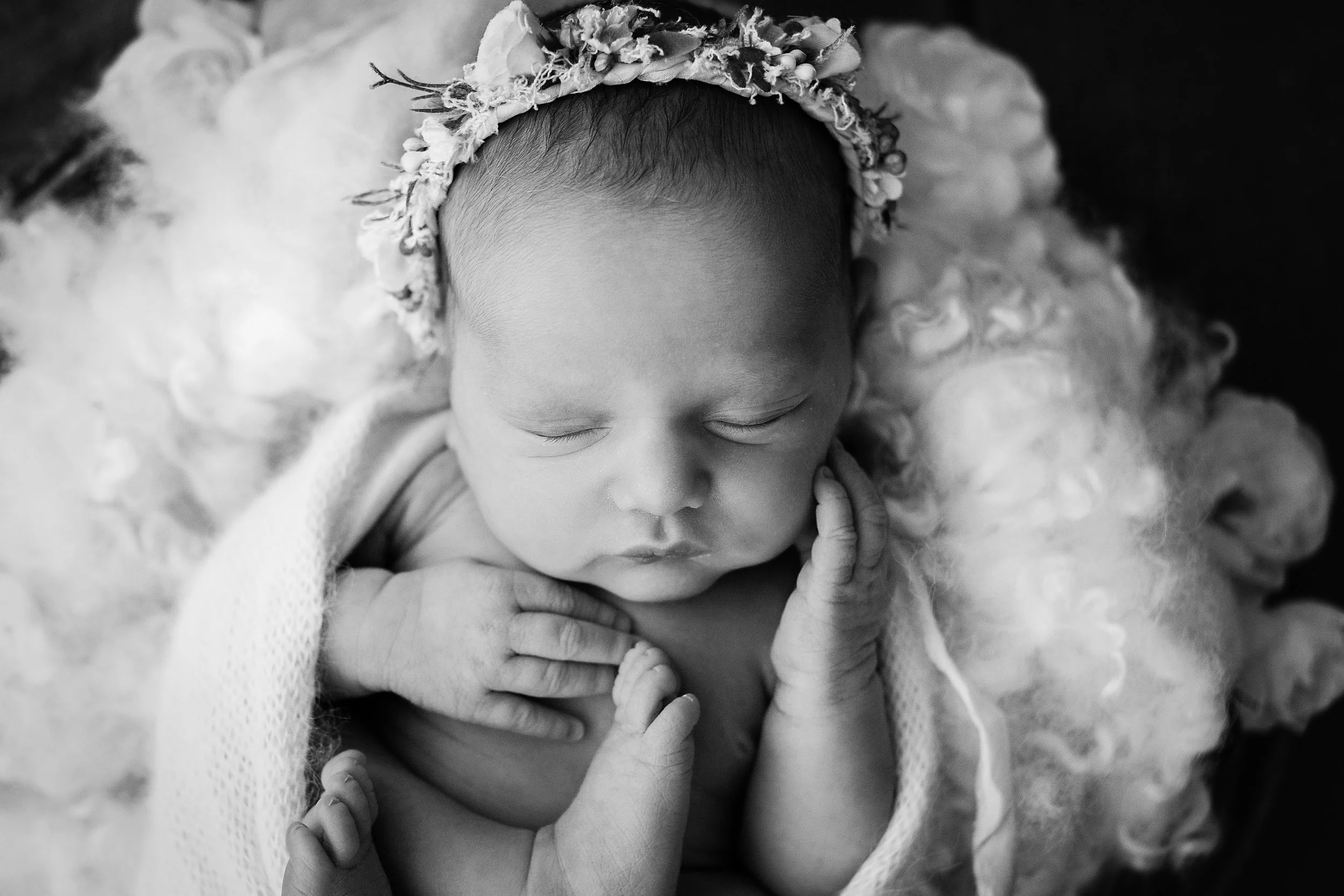 20161215 Lotti-22-2.jpg