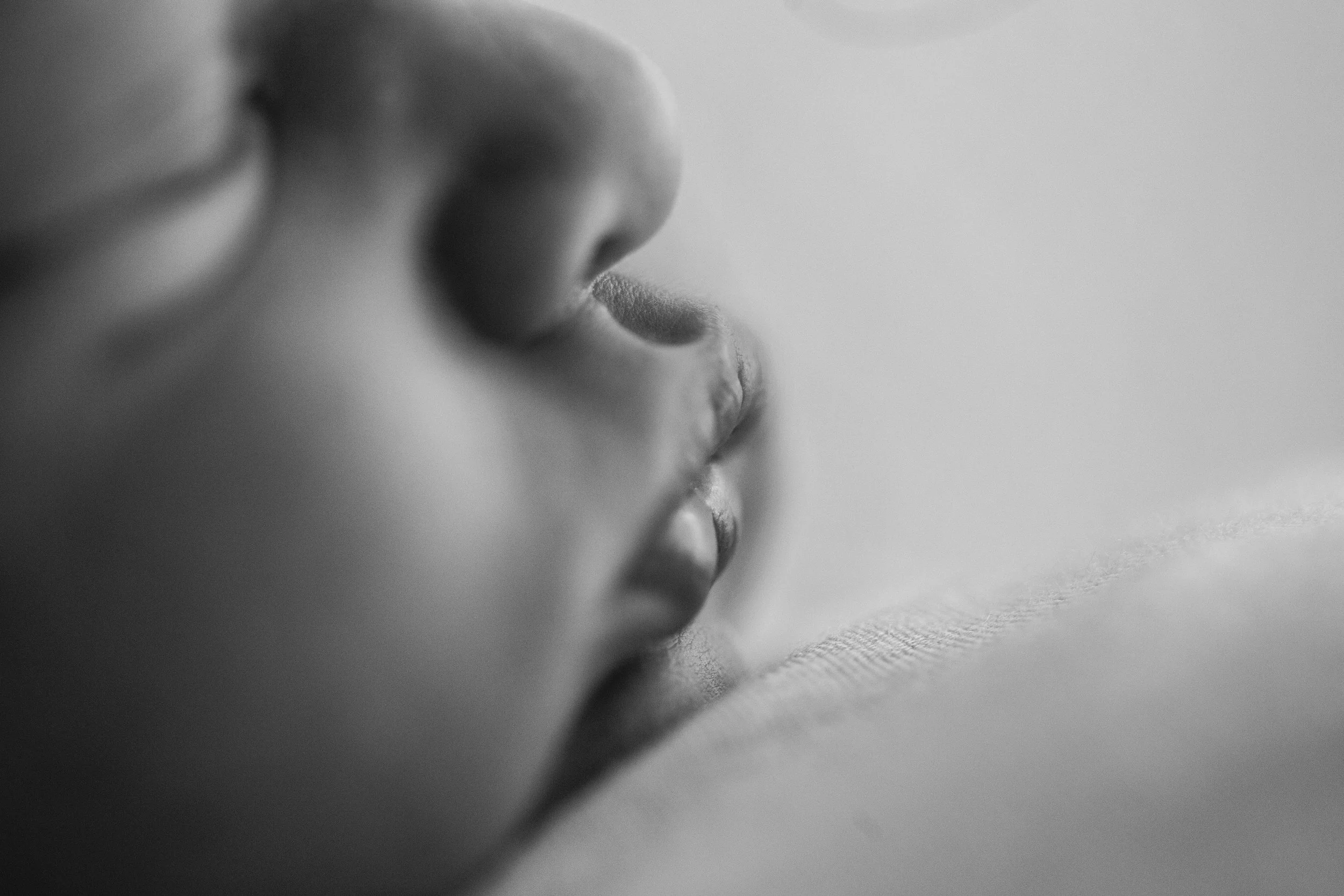 20161215 Lotti-35-2.jpg