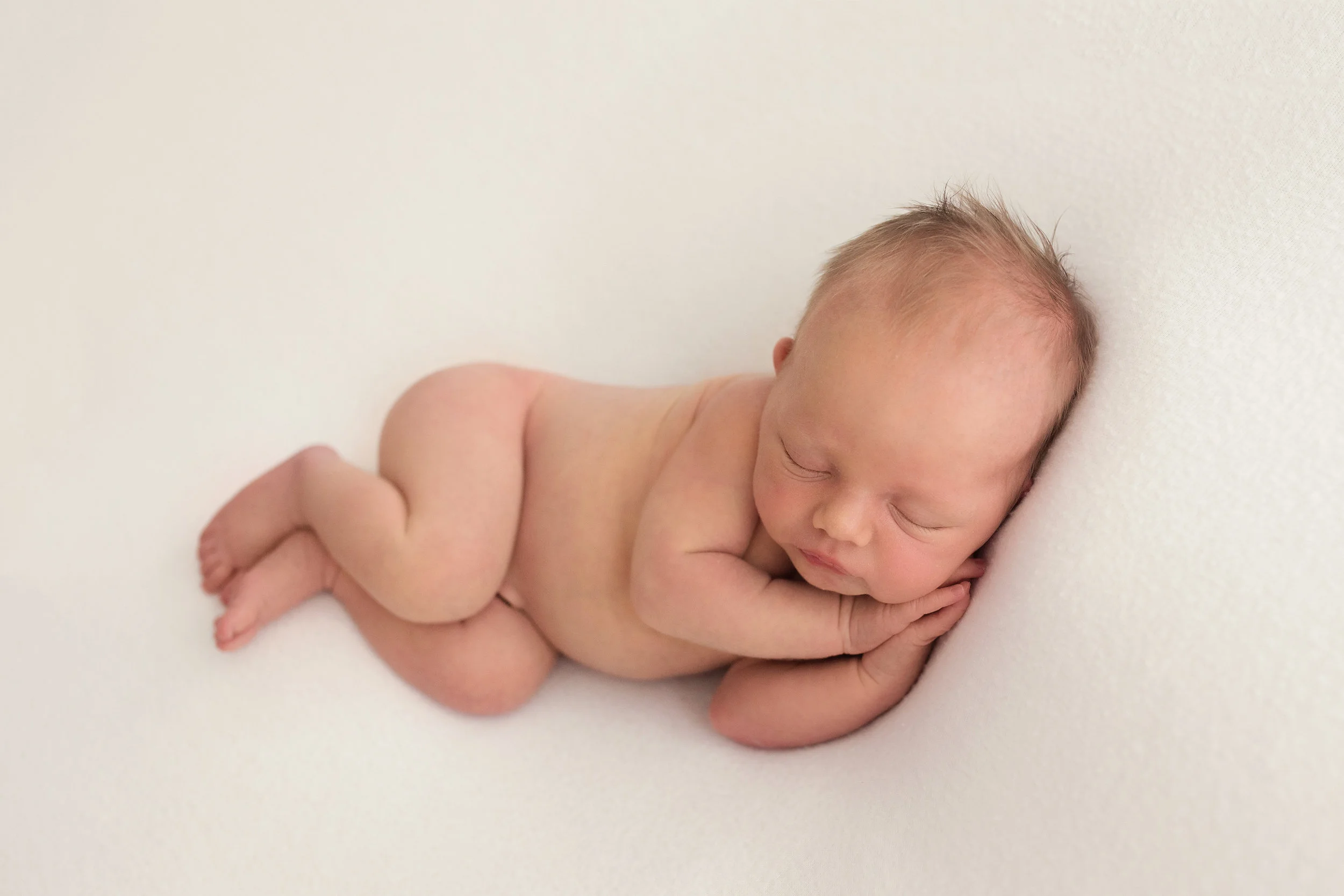 20161228 Daisy Quinn Alexandre-21.jpg