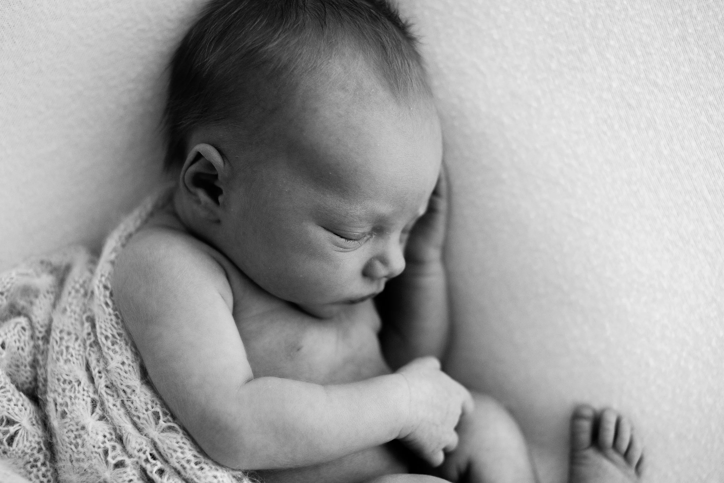 20161228 Daisy Quinn Alexandre-24-2.jpg