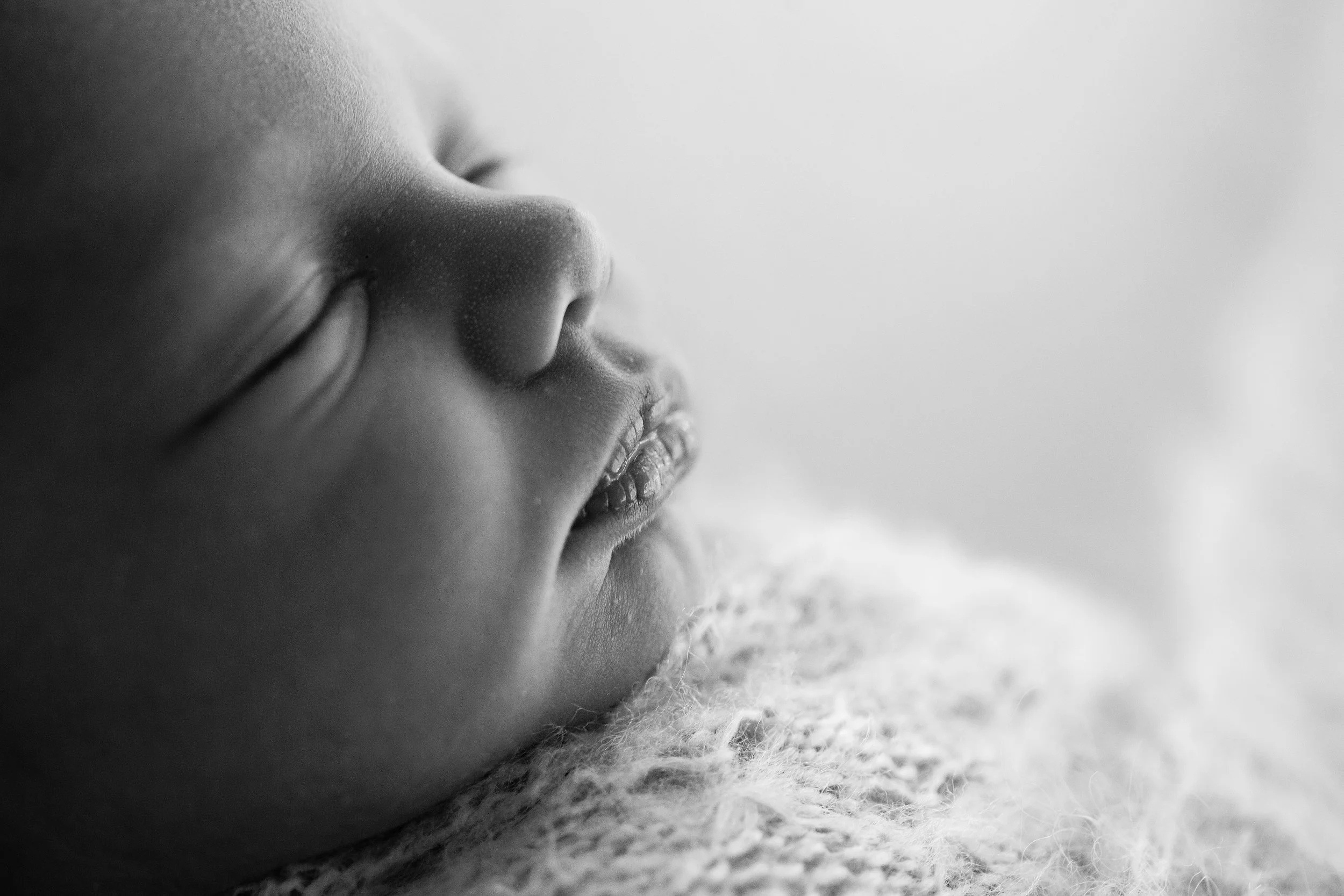 20161228 Daisy Quinn Alexandre-3-2.jpg