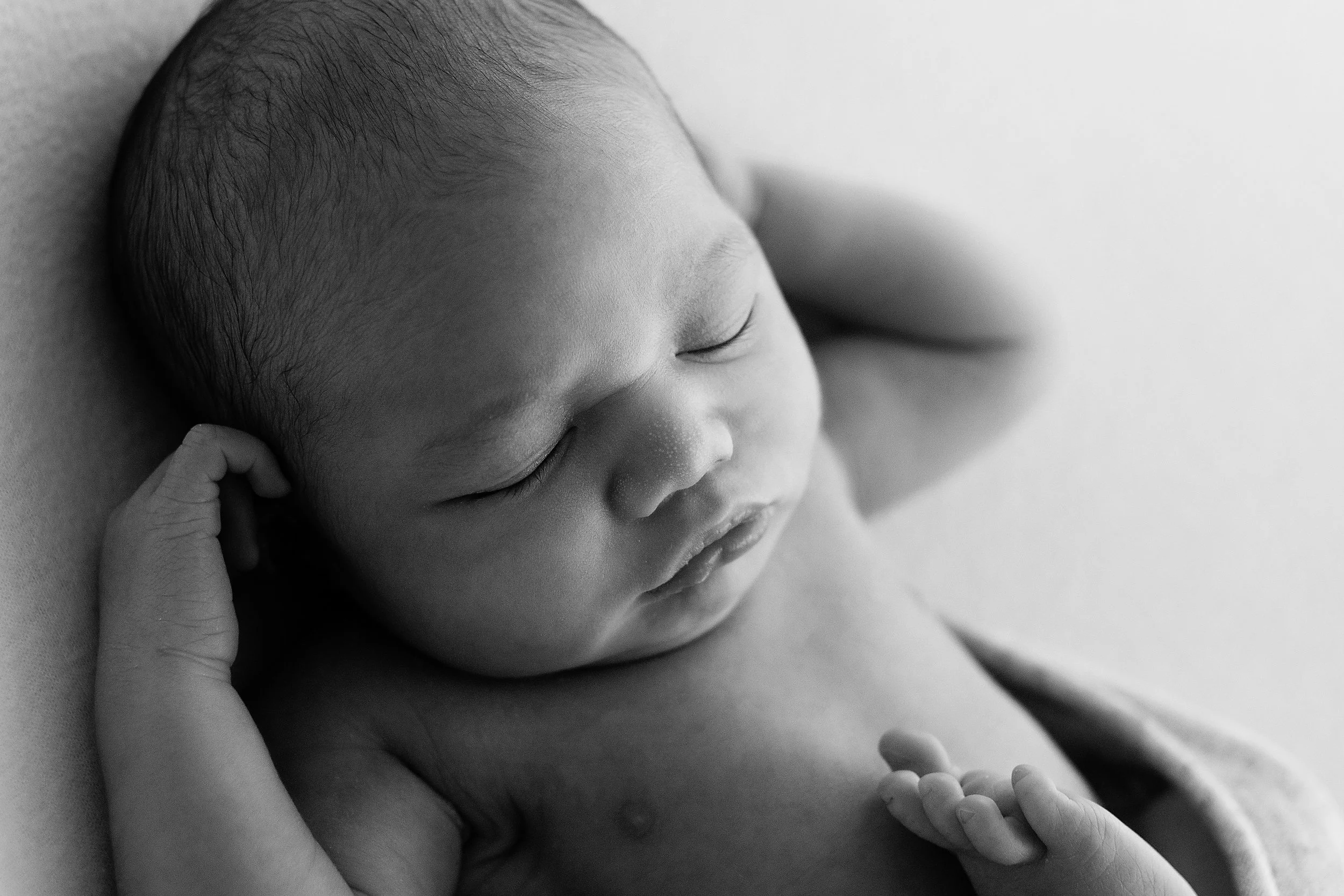 20170106 Rongomau Emery-16-2.jpg