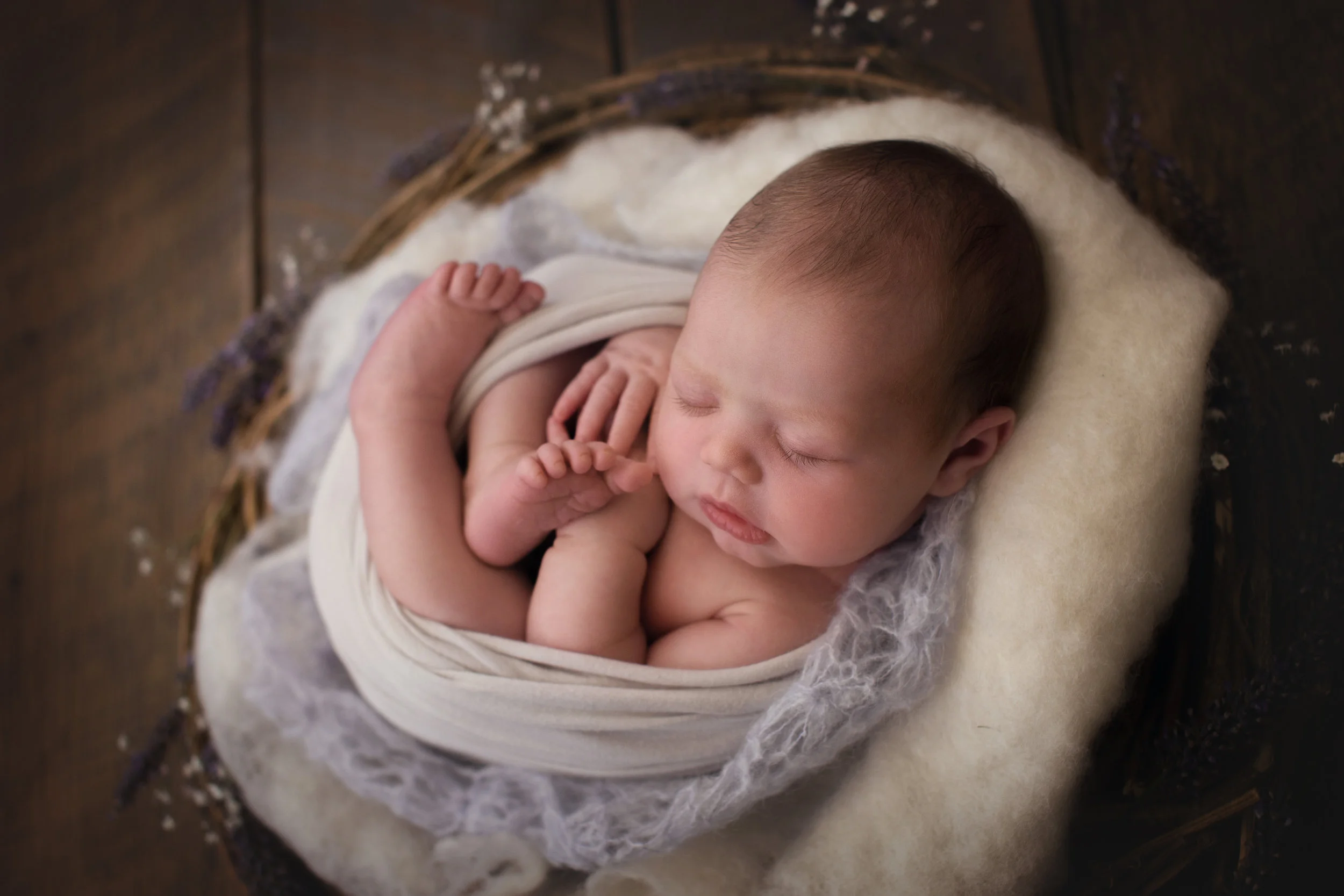 20170123 Adaline Rae Crone-13.jpg