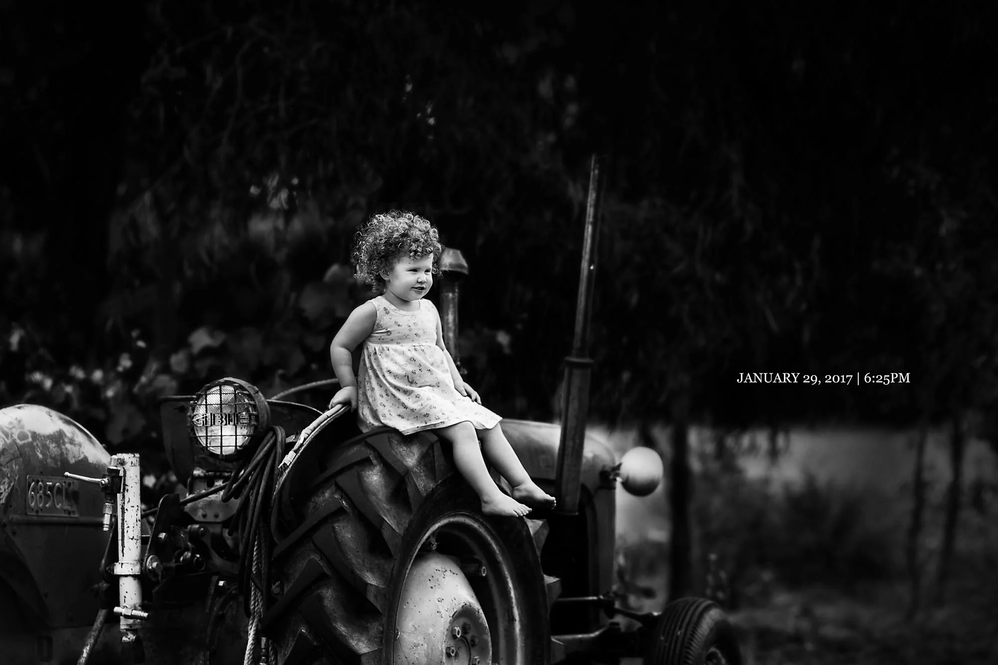 DAY TWENTY NINE Grandad George's trusty ol' tractor.