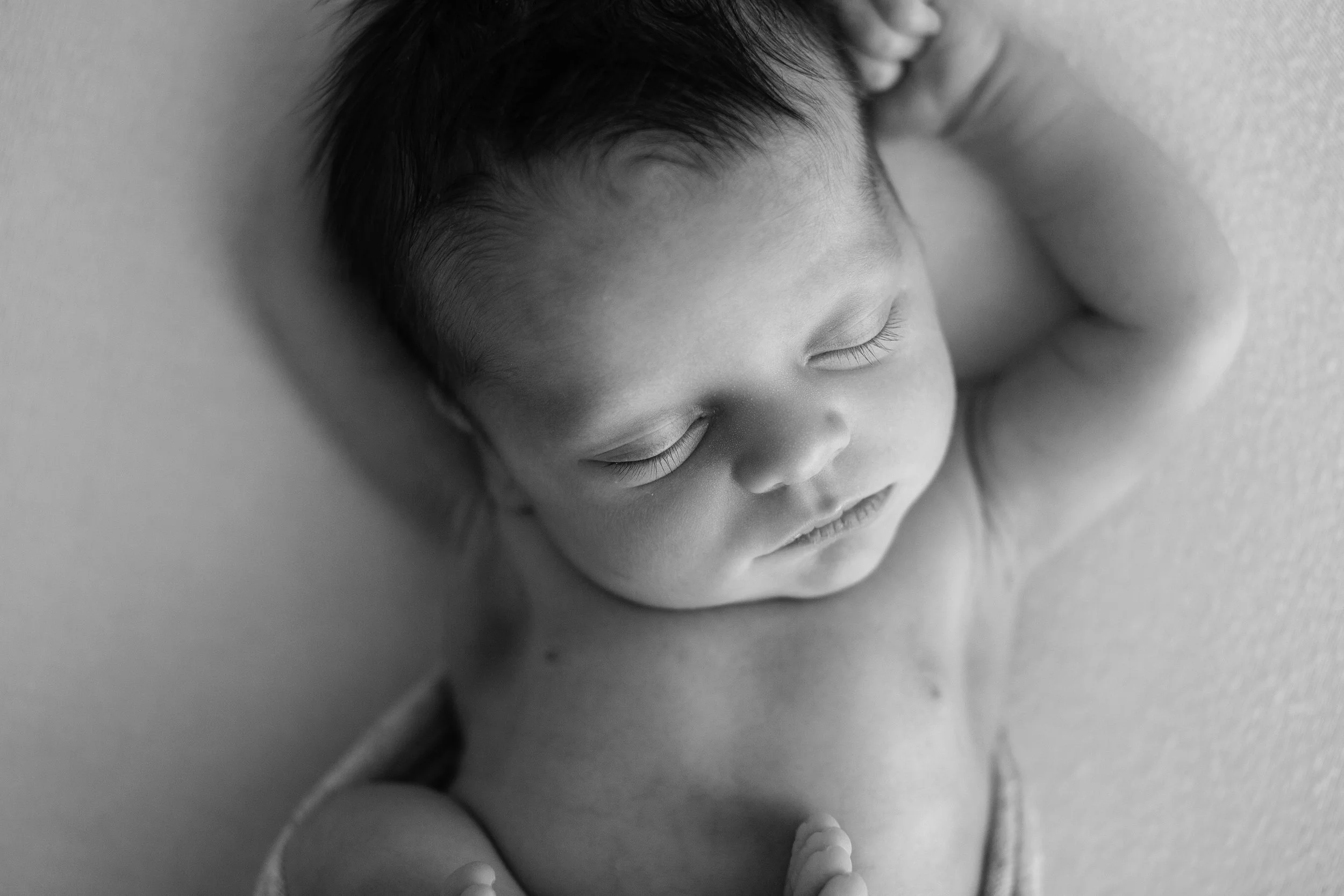 20170116 Hudson-17.jpg