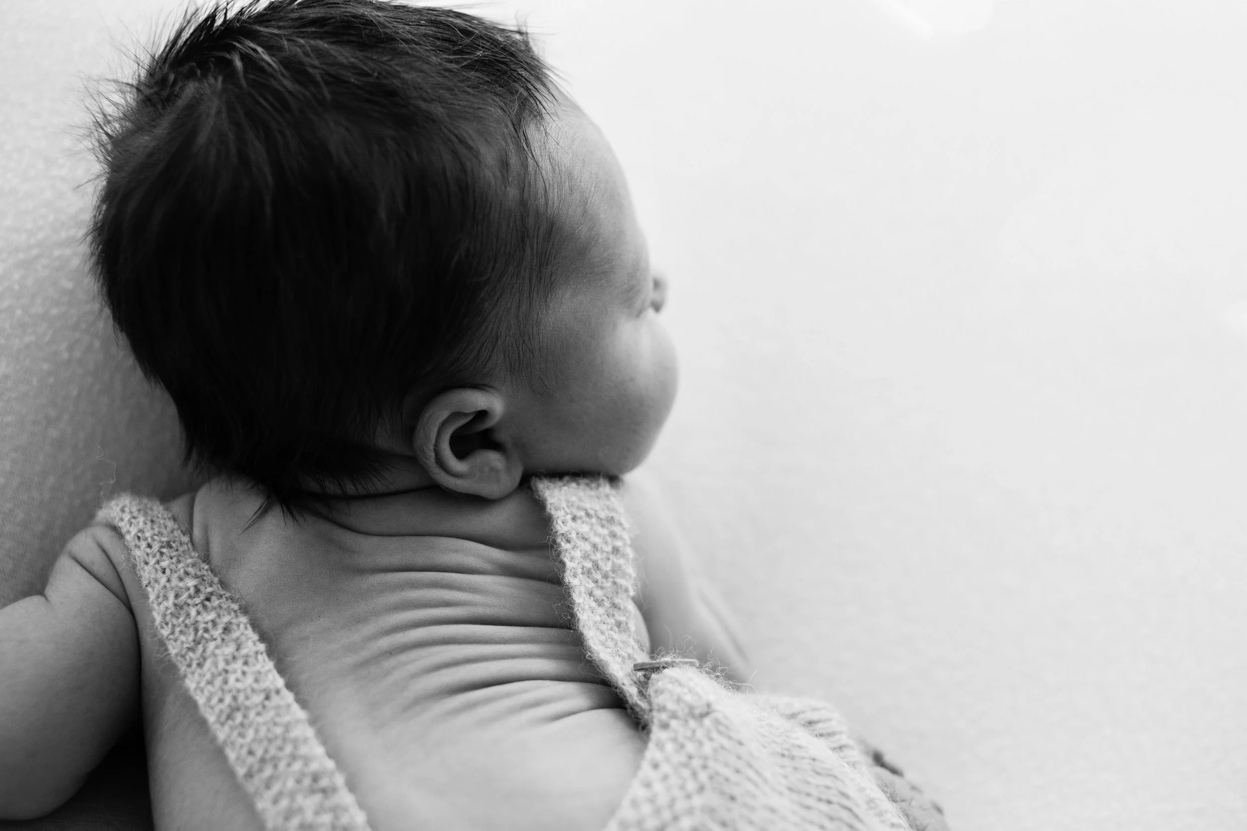 20170116 Hudson-28.jpg