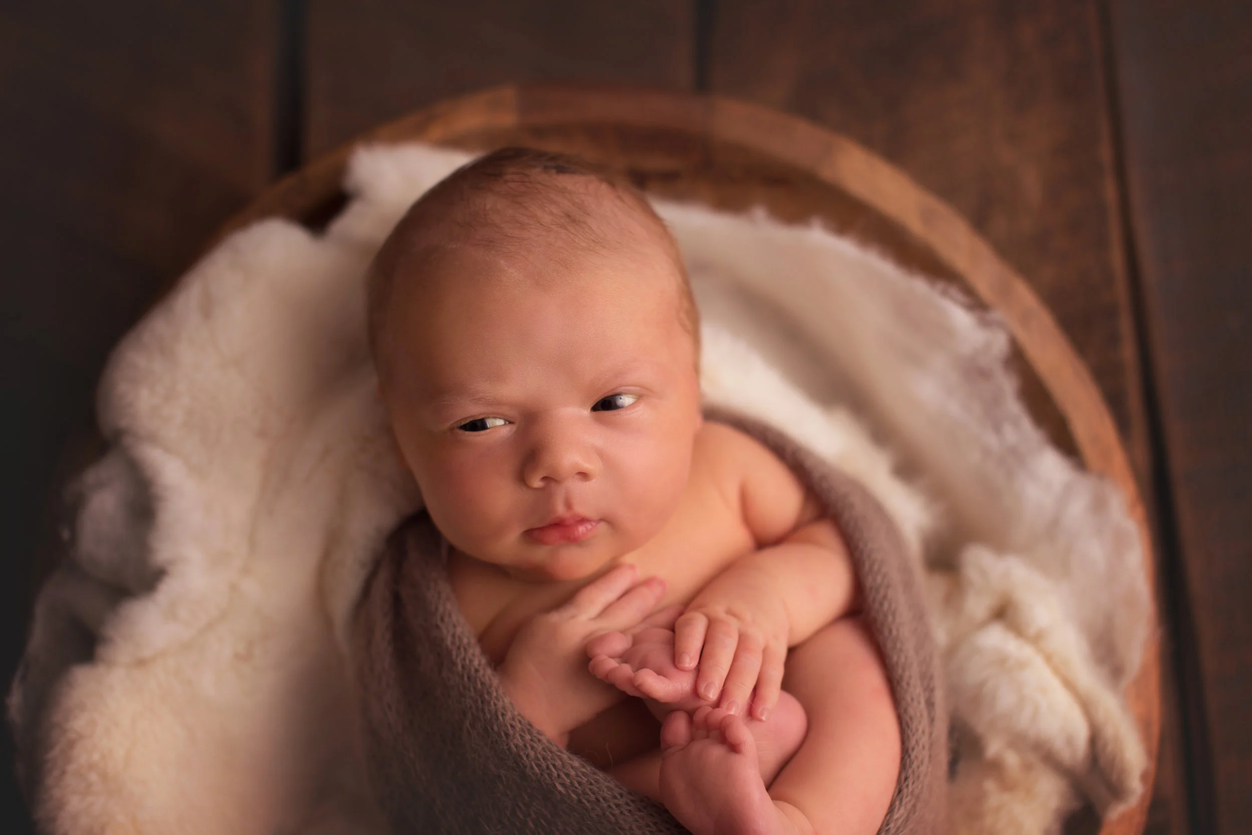 20170505 Arlo-11.jpg